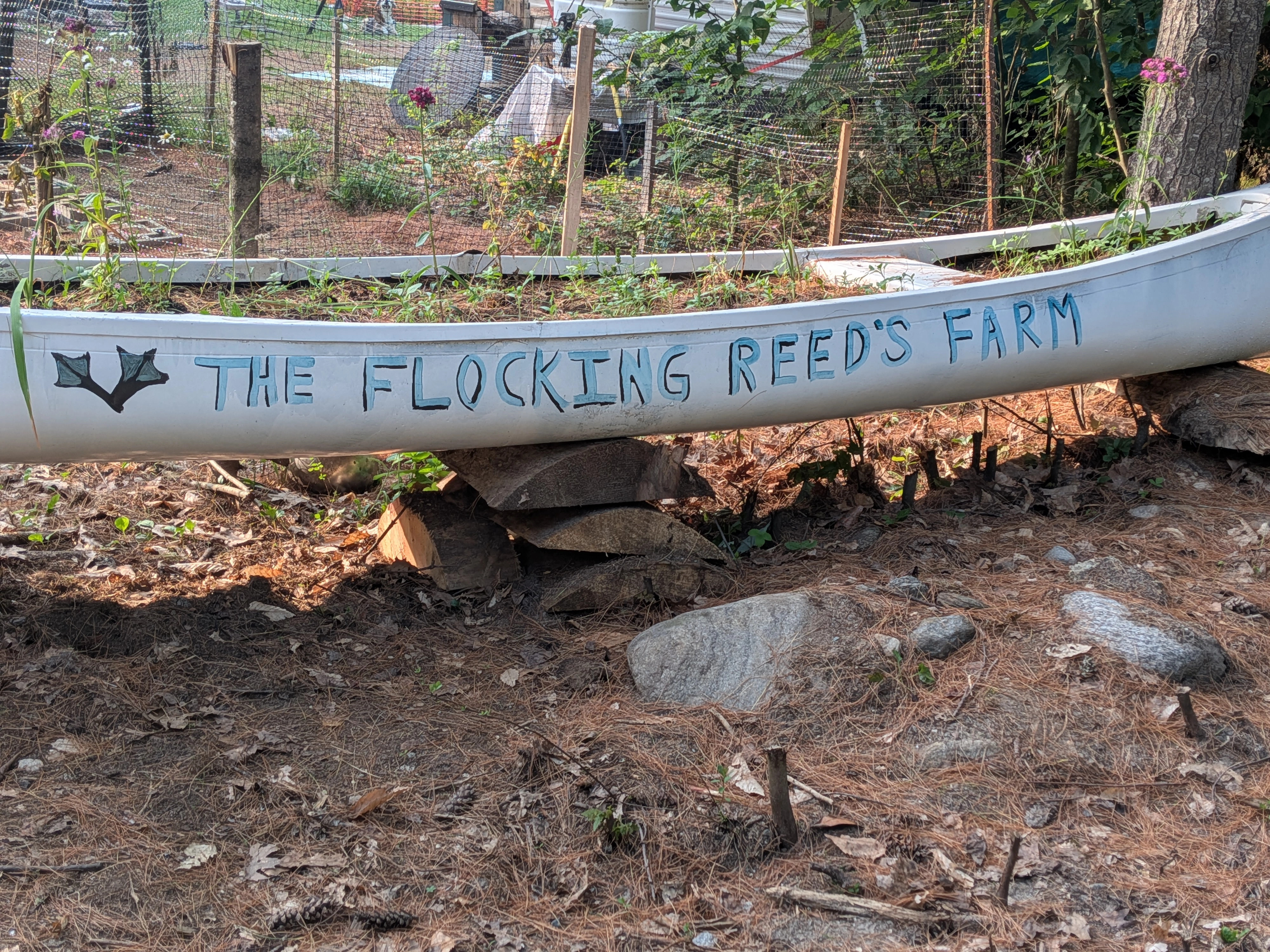 Flocking Reeds Farm