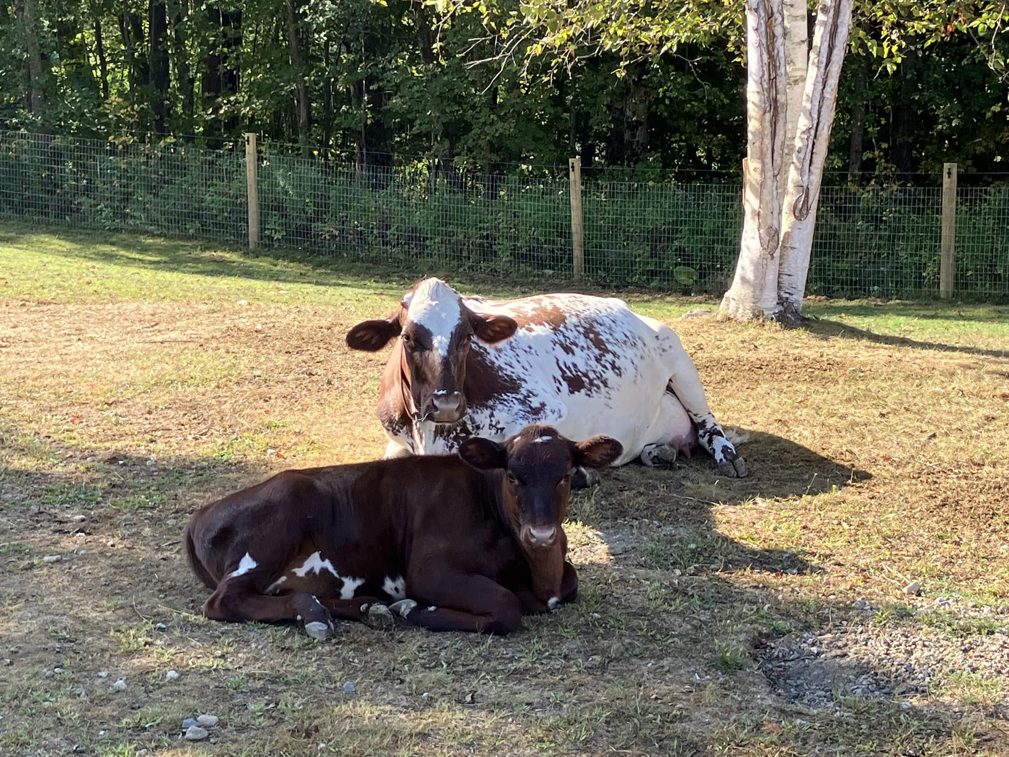 Hand to the Plough Homestead