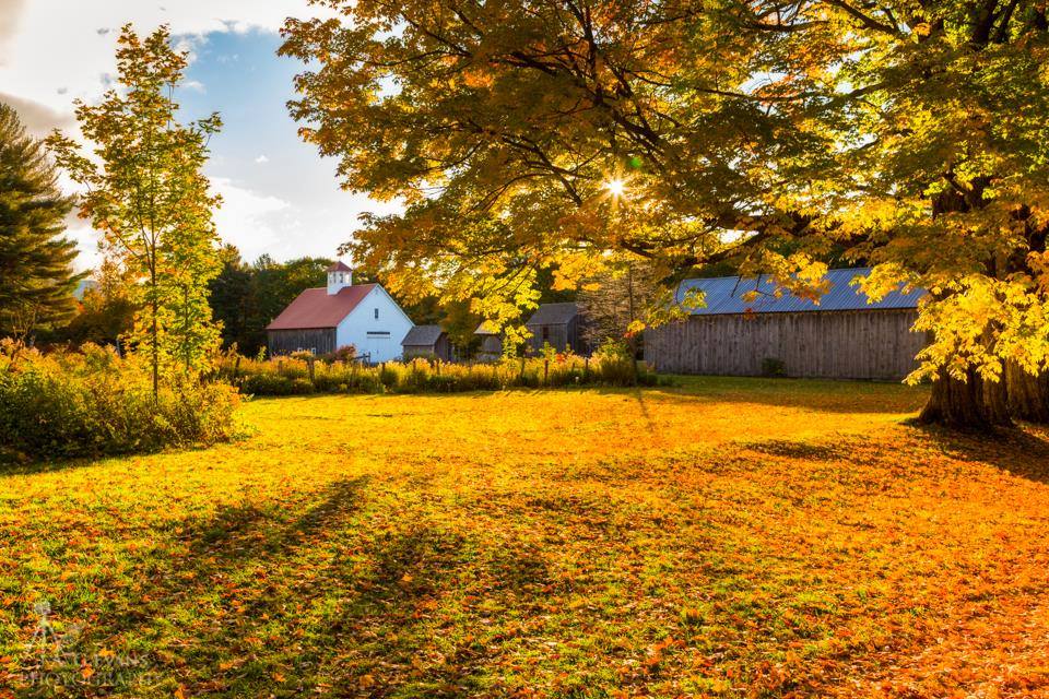 Musterfield Farm