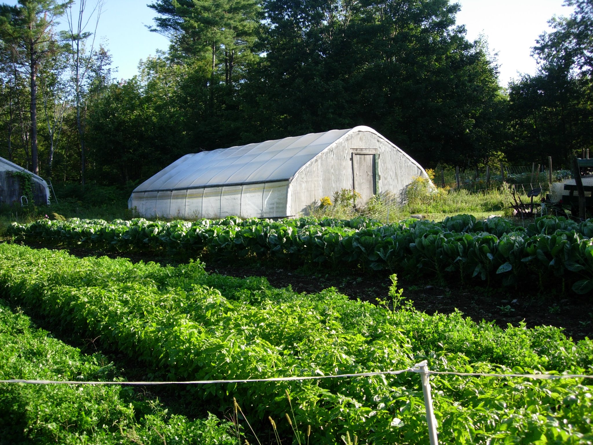 Kearsarge Gore Farm