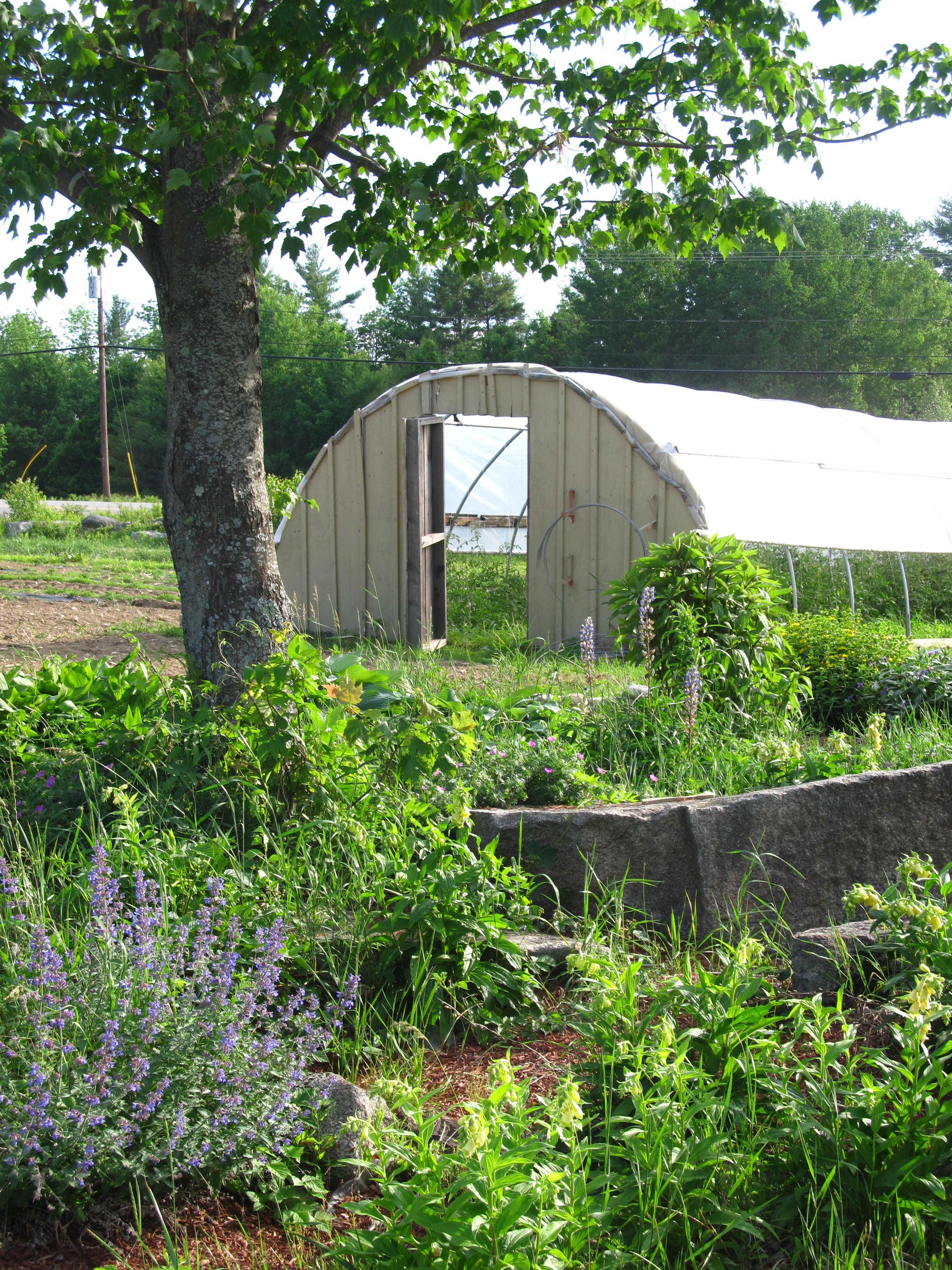Windy Fields Farm
