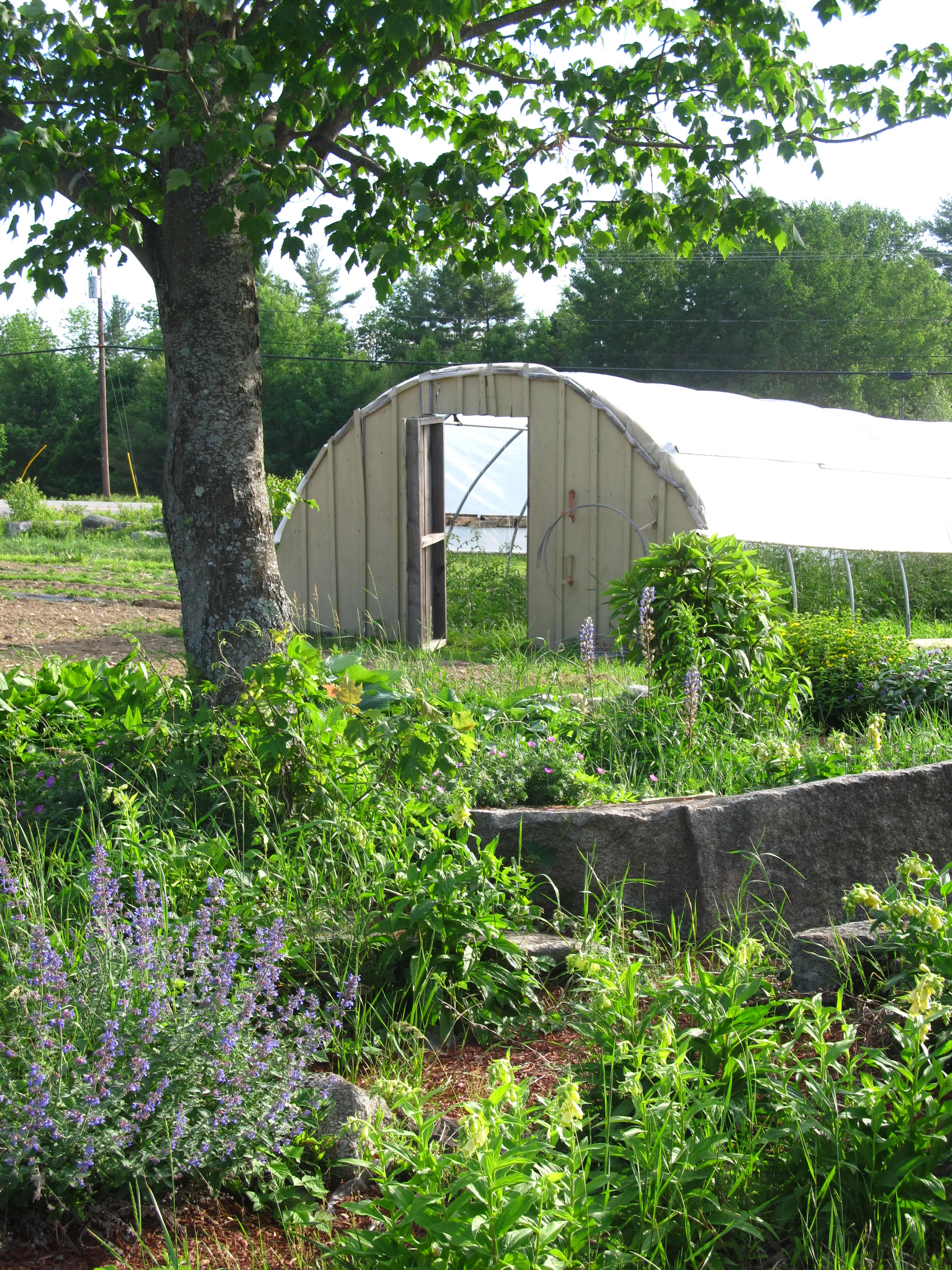 Windy Fields Farm