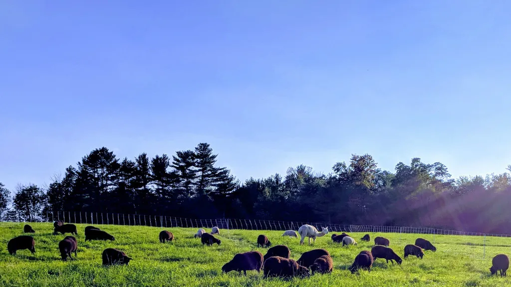 Loudonshire Farm