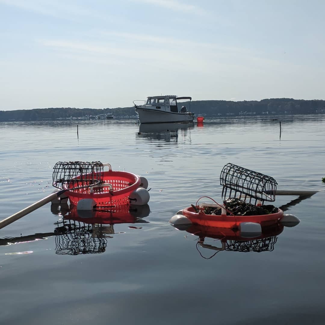 Rising Tide Oyster Company