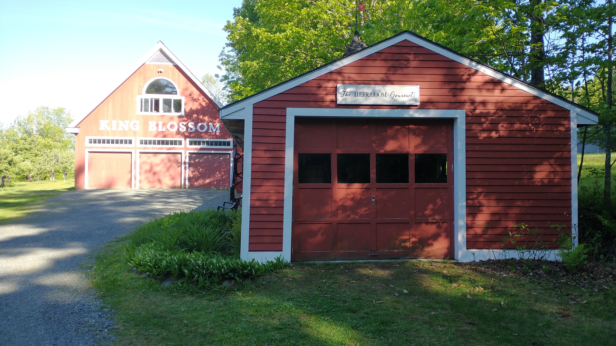 King Blossom Farm