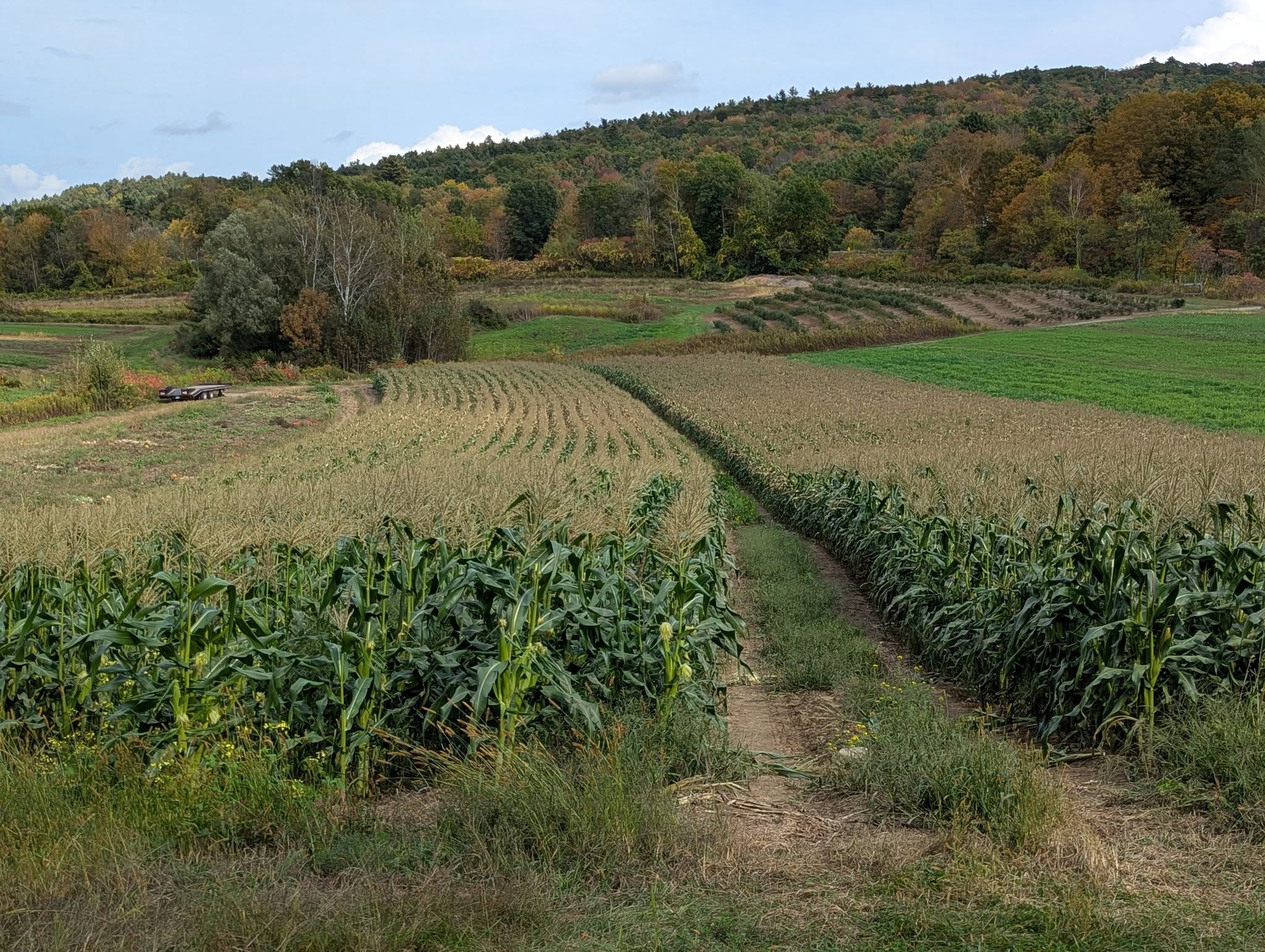 Hemingway Farms