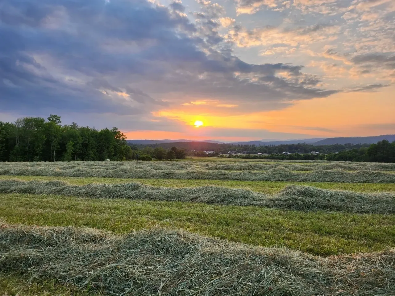 Peachblow Farm