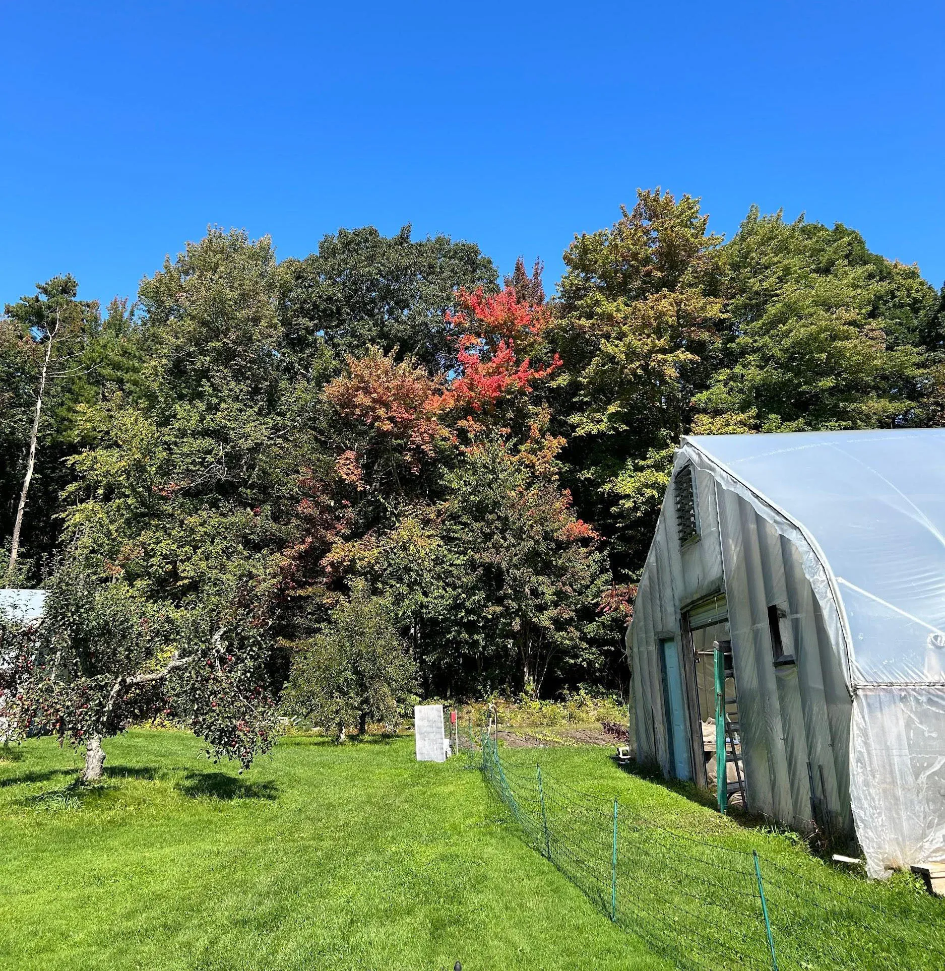 Ledge Top Farm