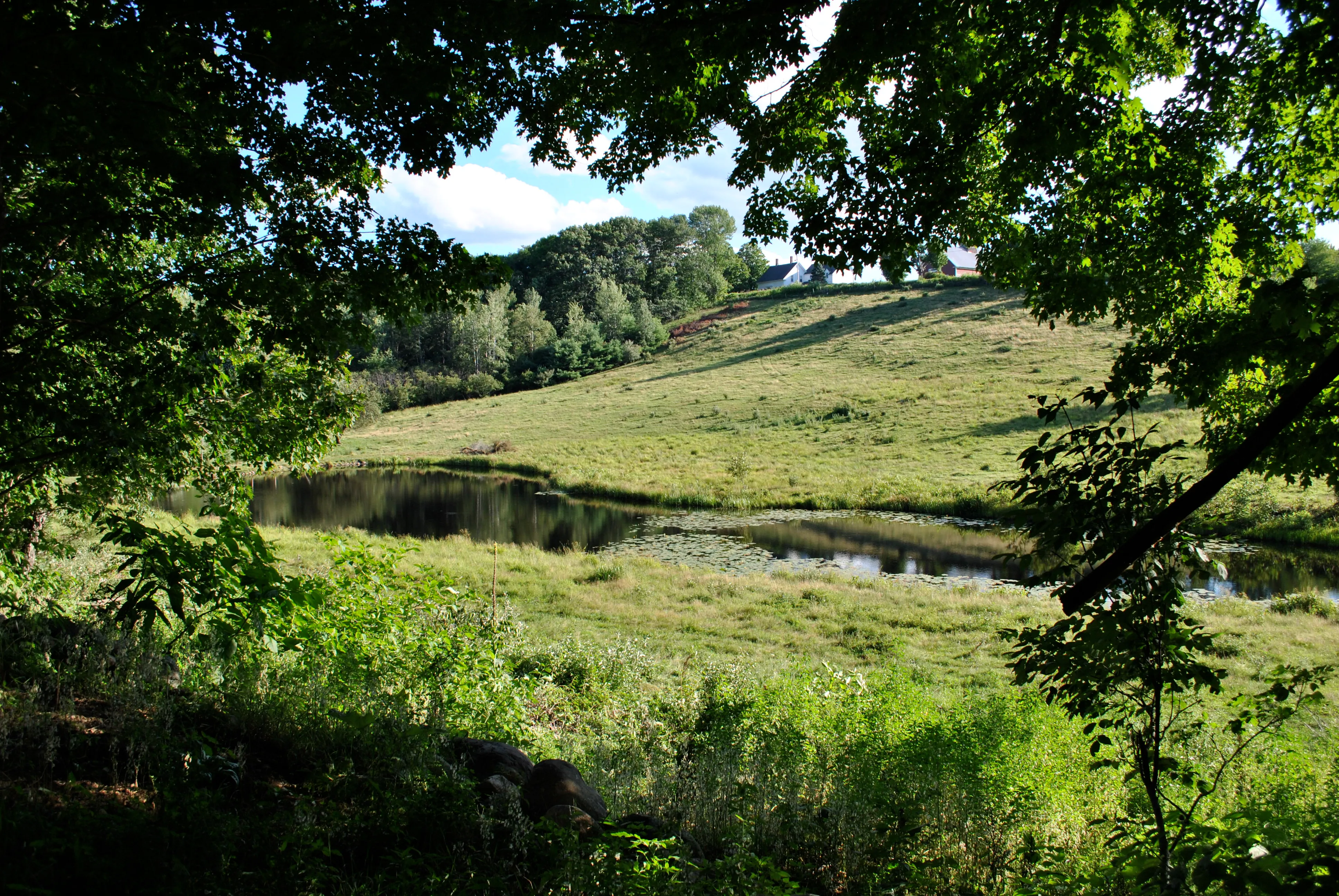 Clark Ridge Farm
