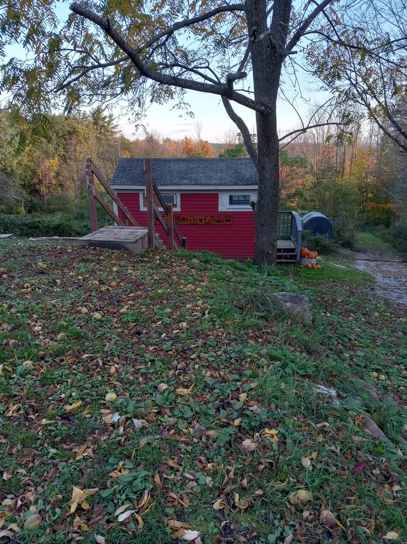 Forgotten Farm