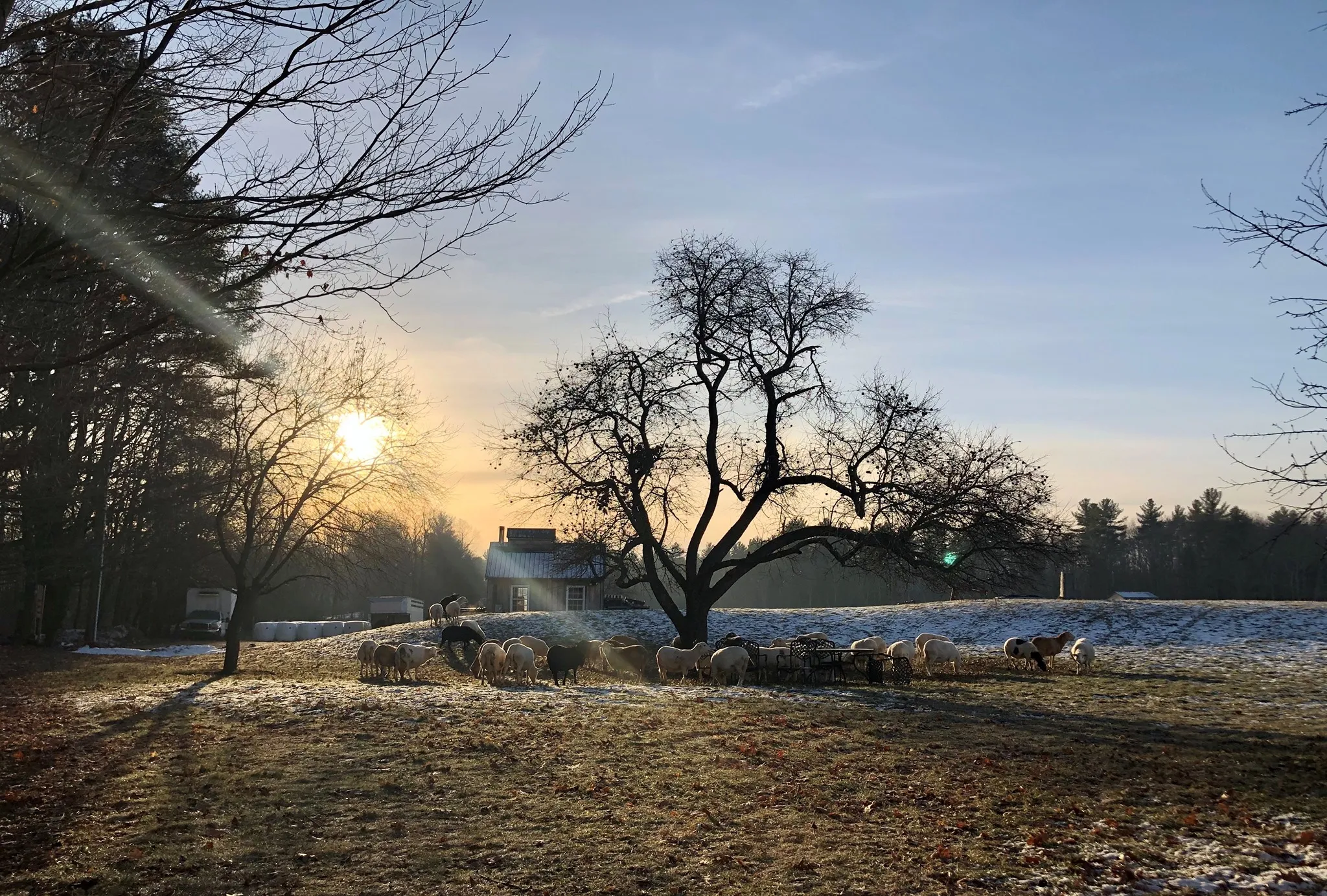 Old Orchard Farm