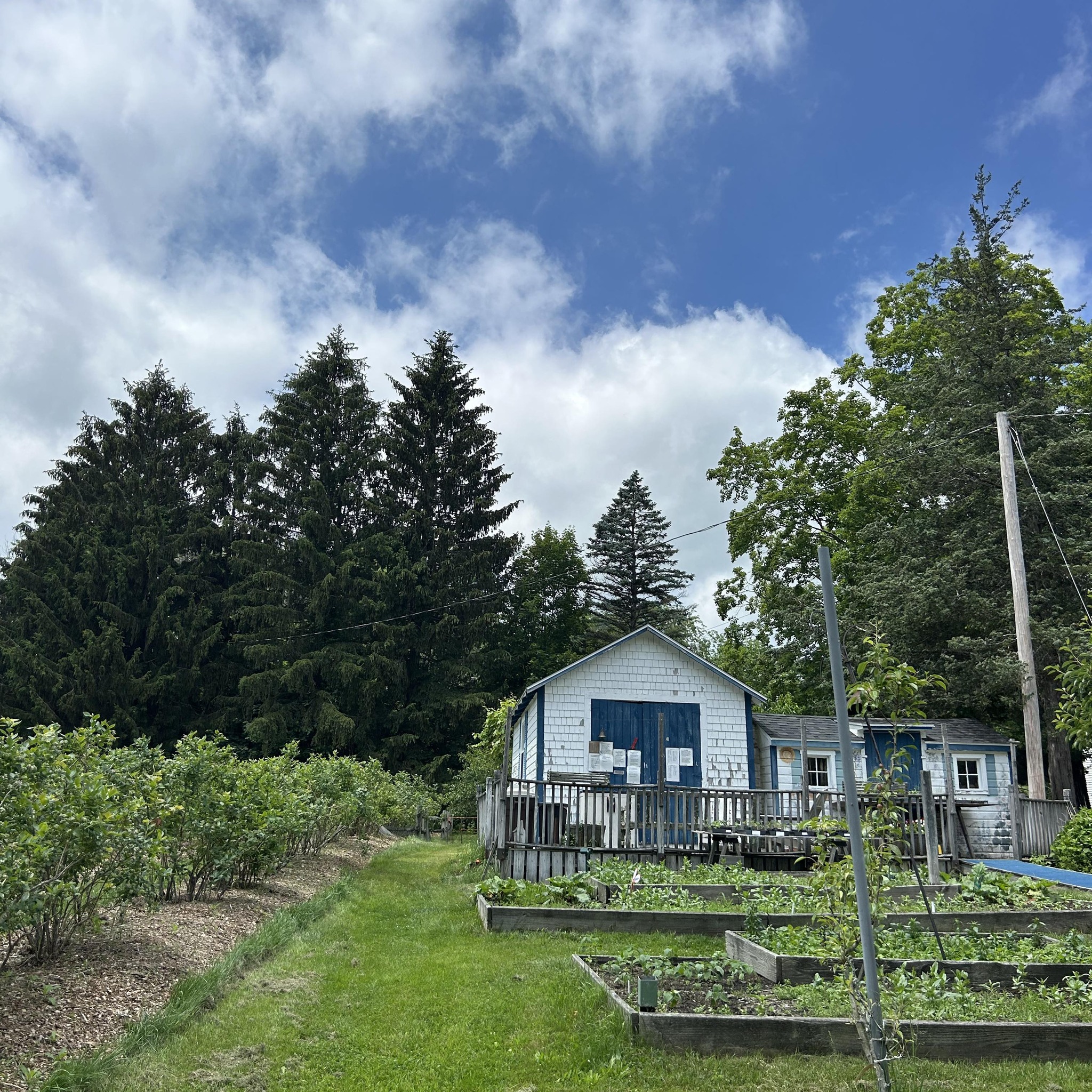 Blueberry Bay Farm