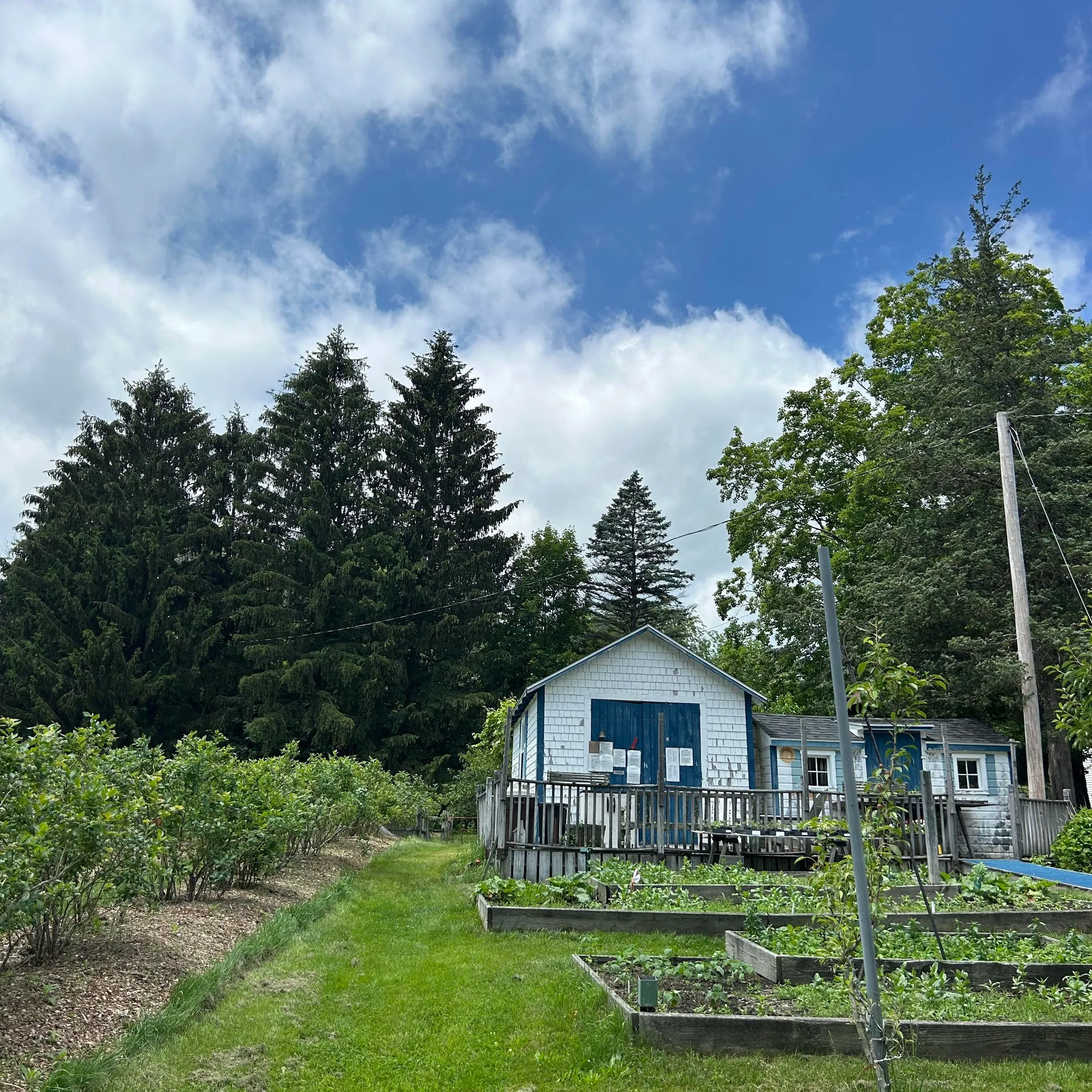 Blueberry Bay Farm