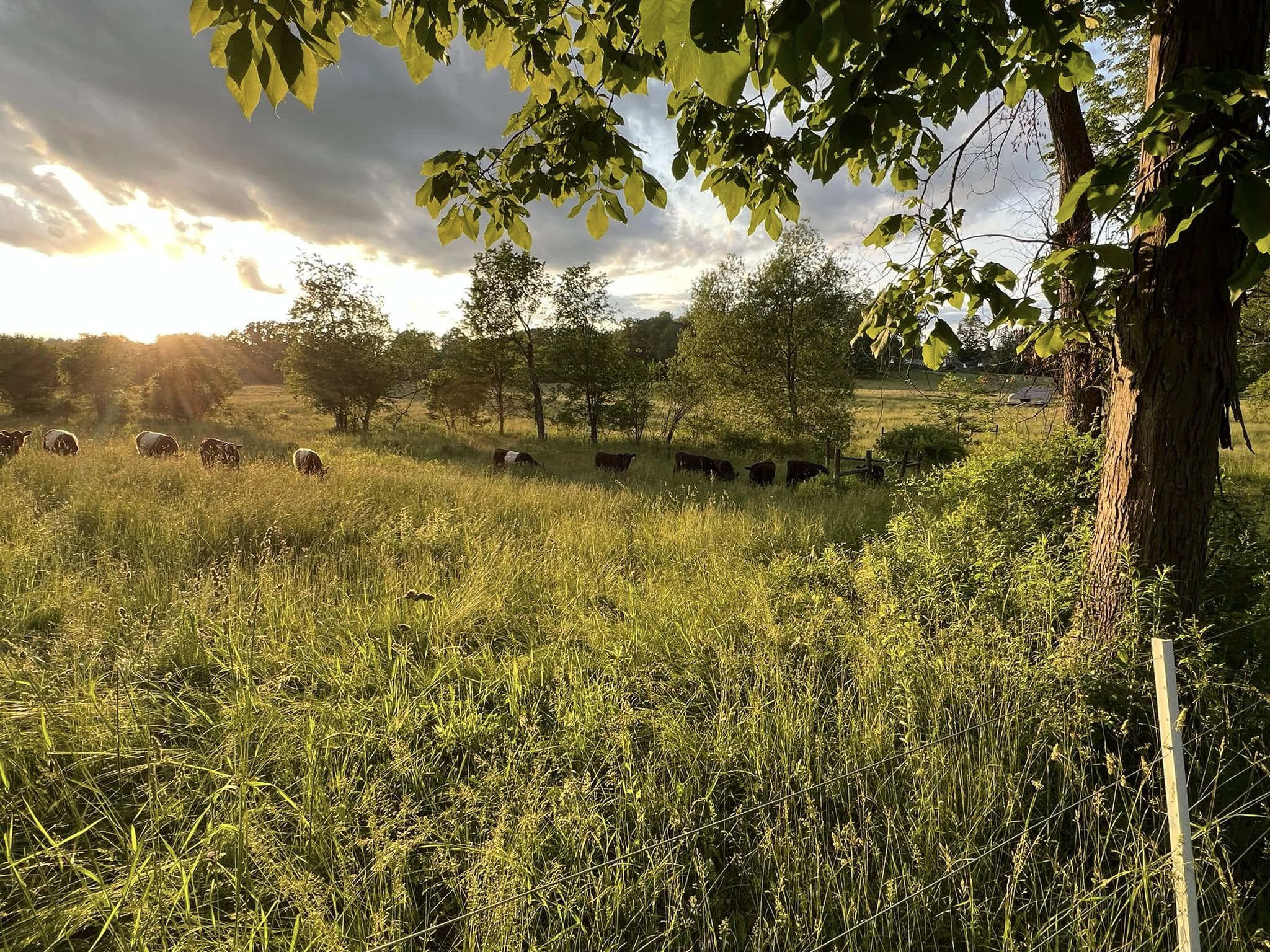 Winnicut River Farm
