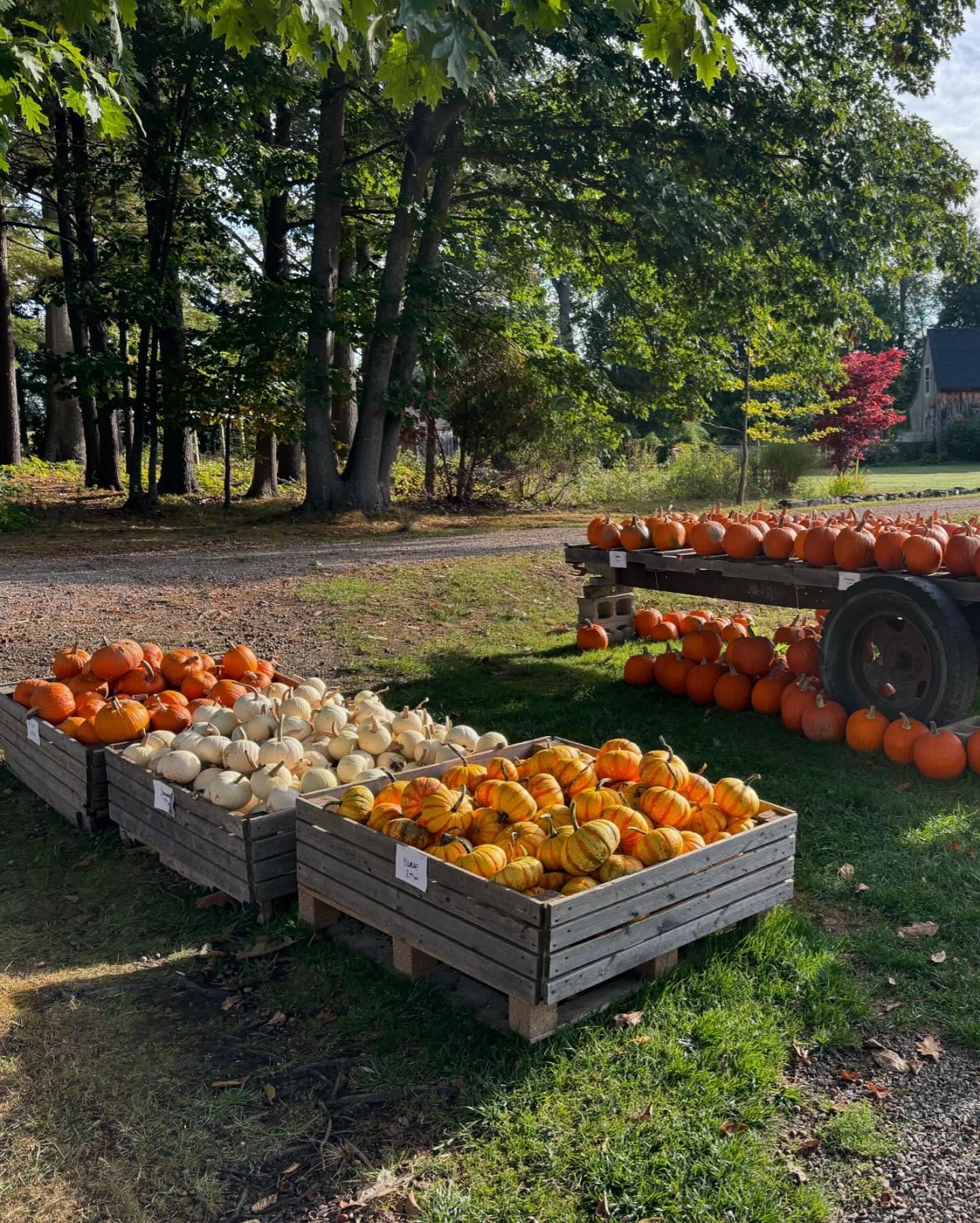 Wake Robin Farm