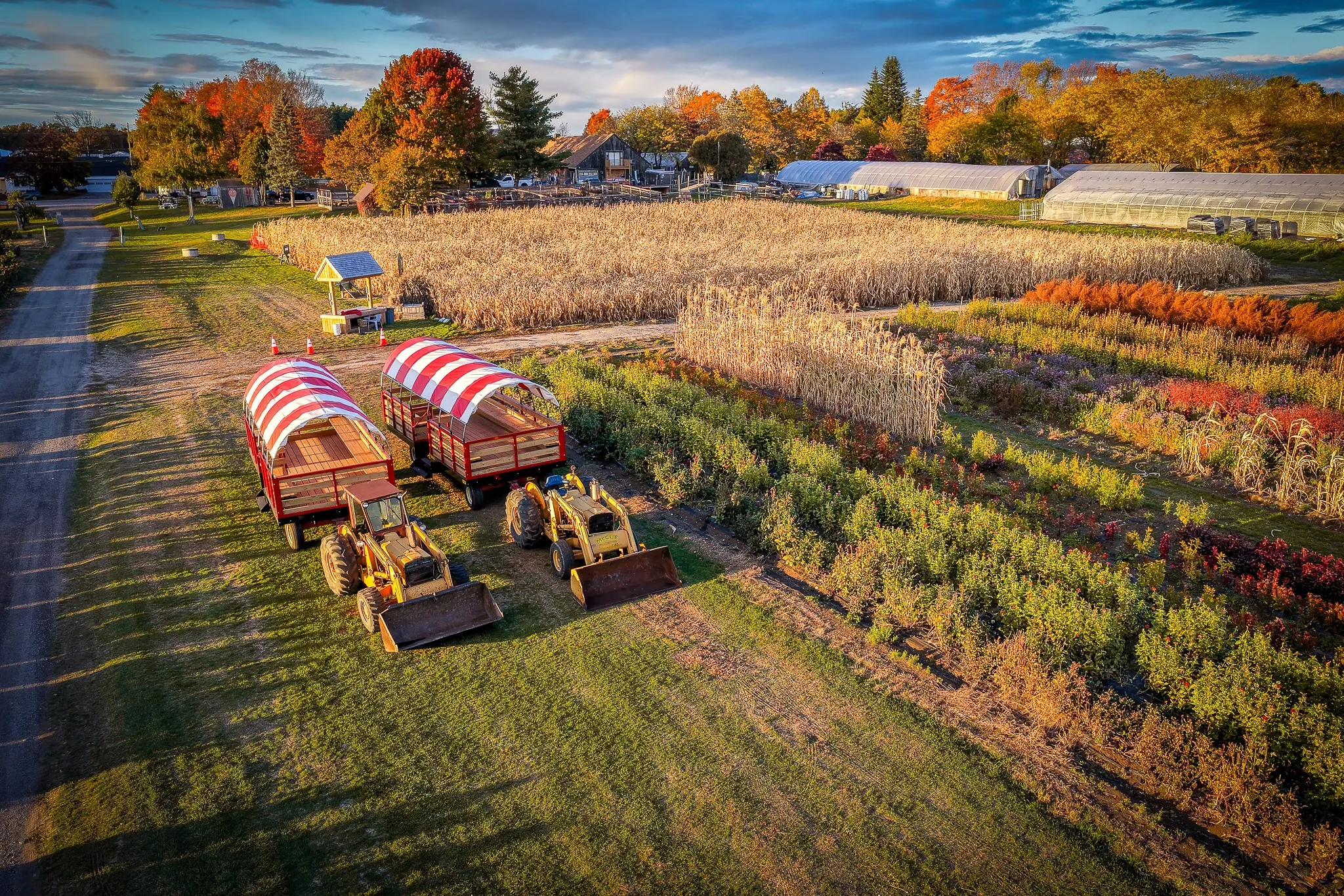 Brookdale Fruit Farm