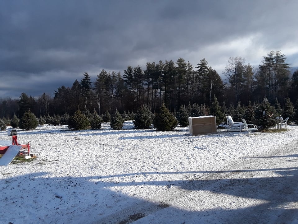 Miracle Acres Farm