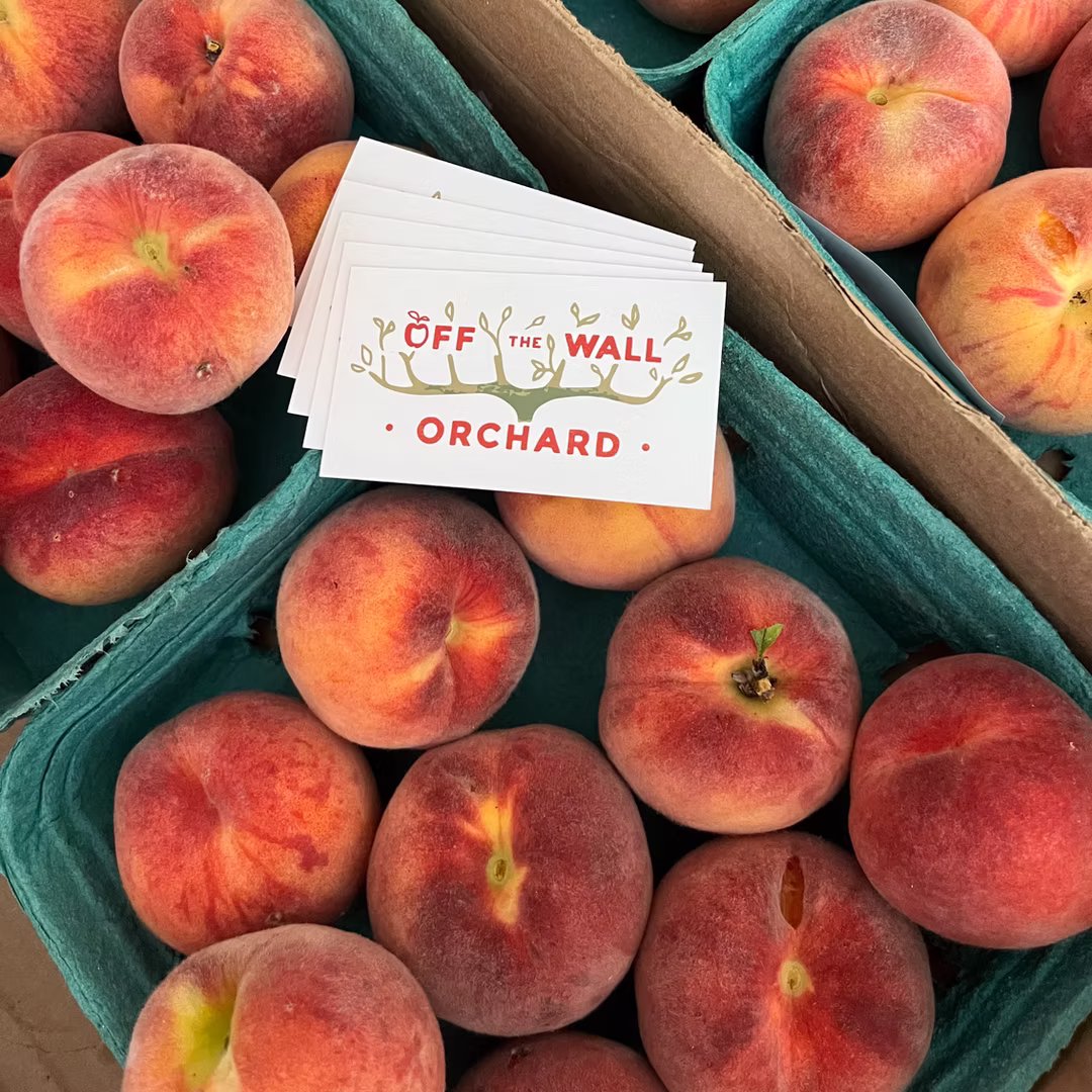 Off The Wall Orchard
