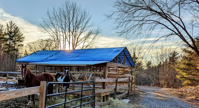 Joyberry Farms