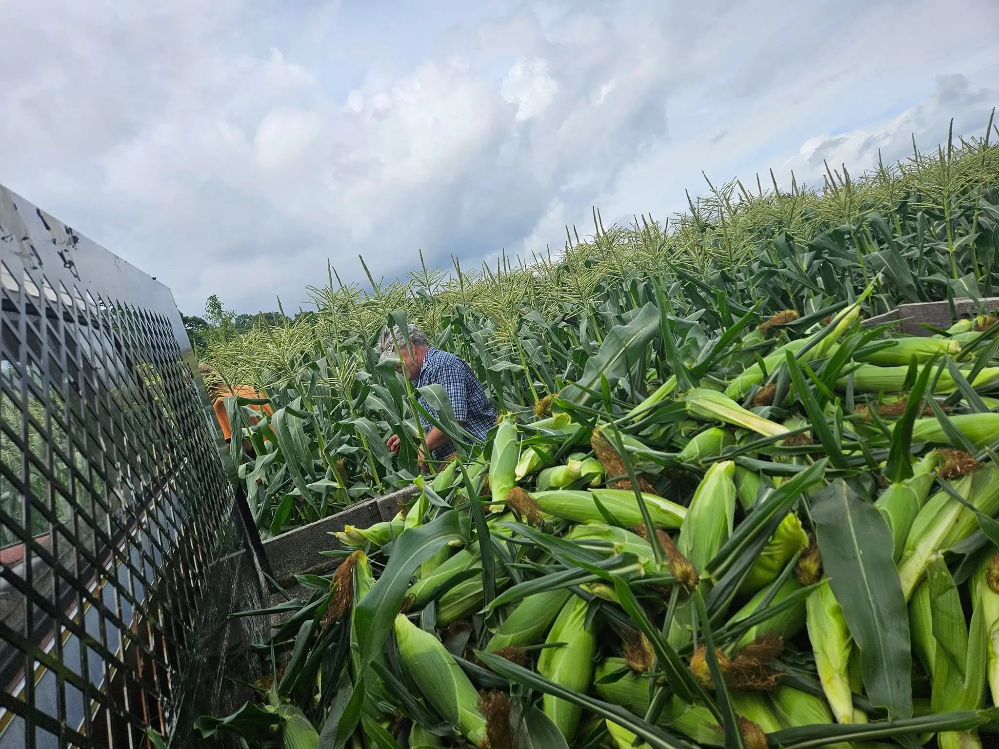 Barrett Hill Farm
