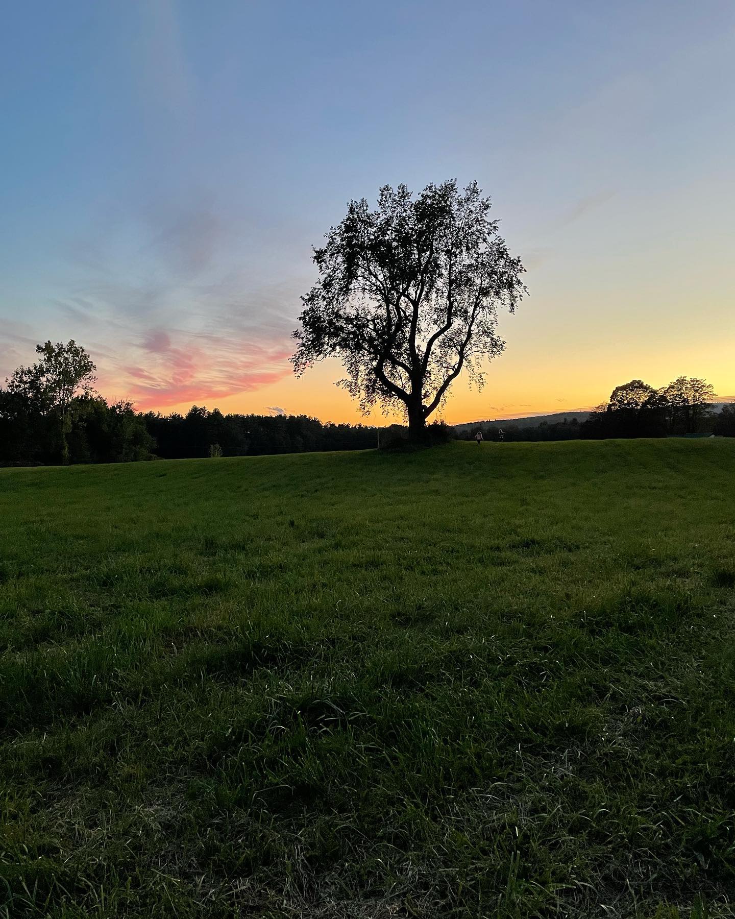 Ex Libris Farm