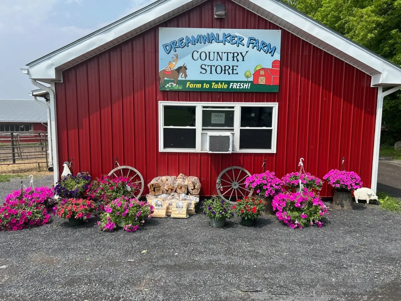 Dreamwalker Farm