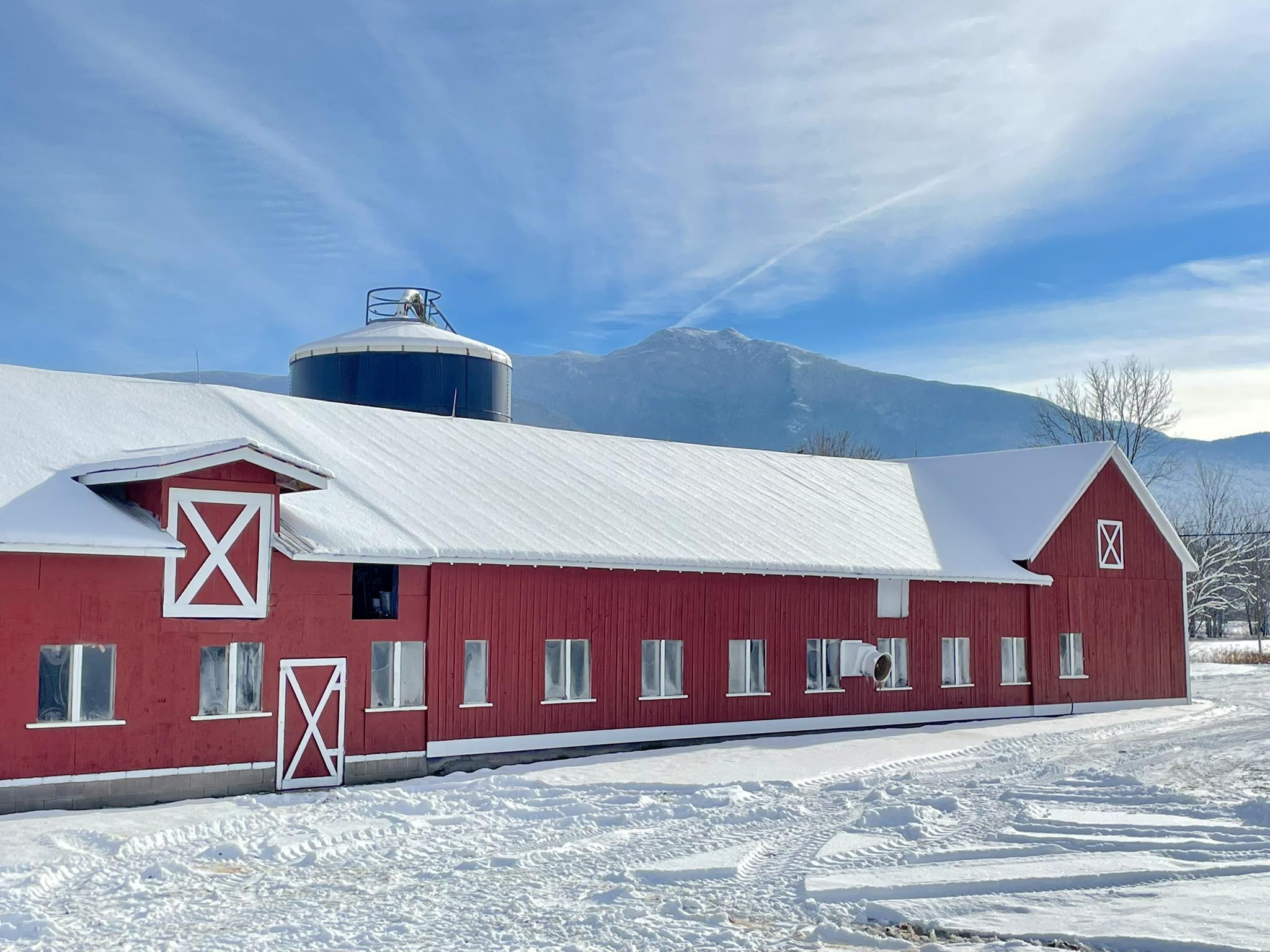Moose Mountain Maple