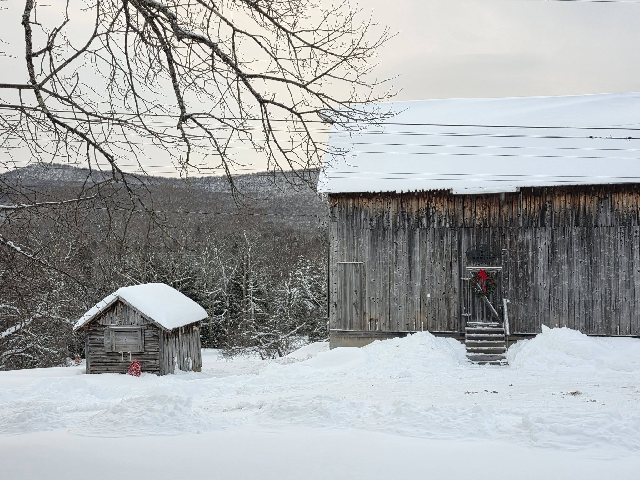 Golden Maple Farm