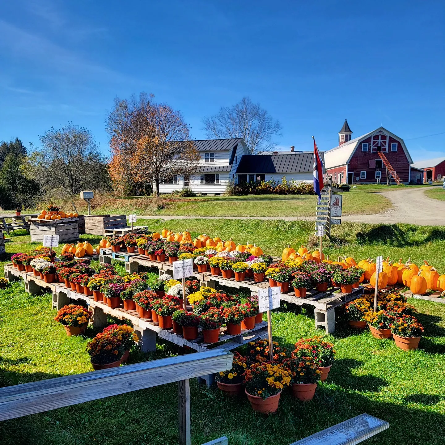 Chandler Pond Farm