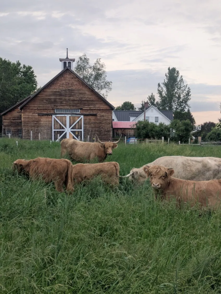 Root to Rise Farm