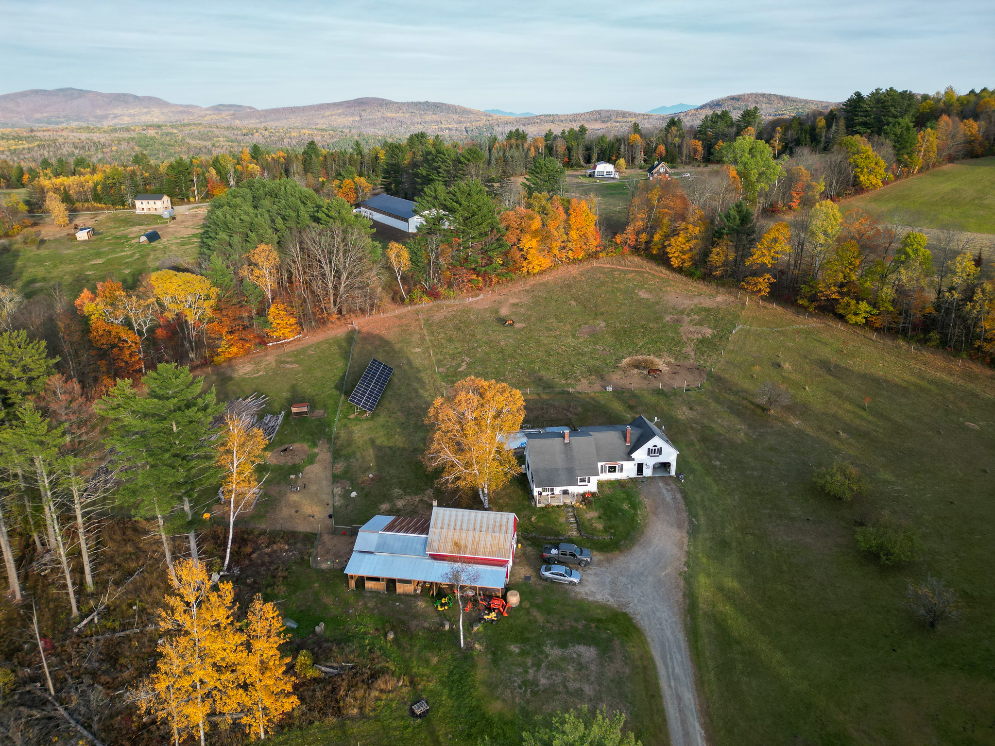 Kingdom Orchards