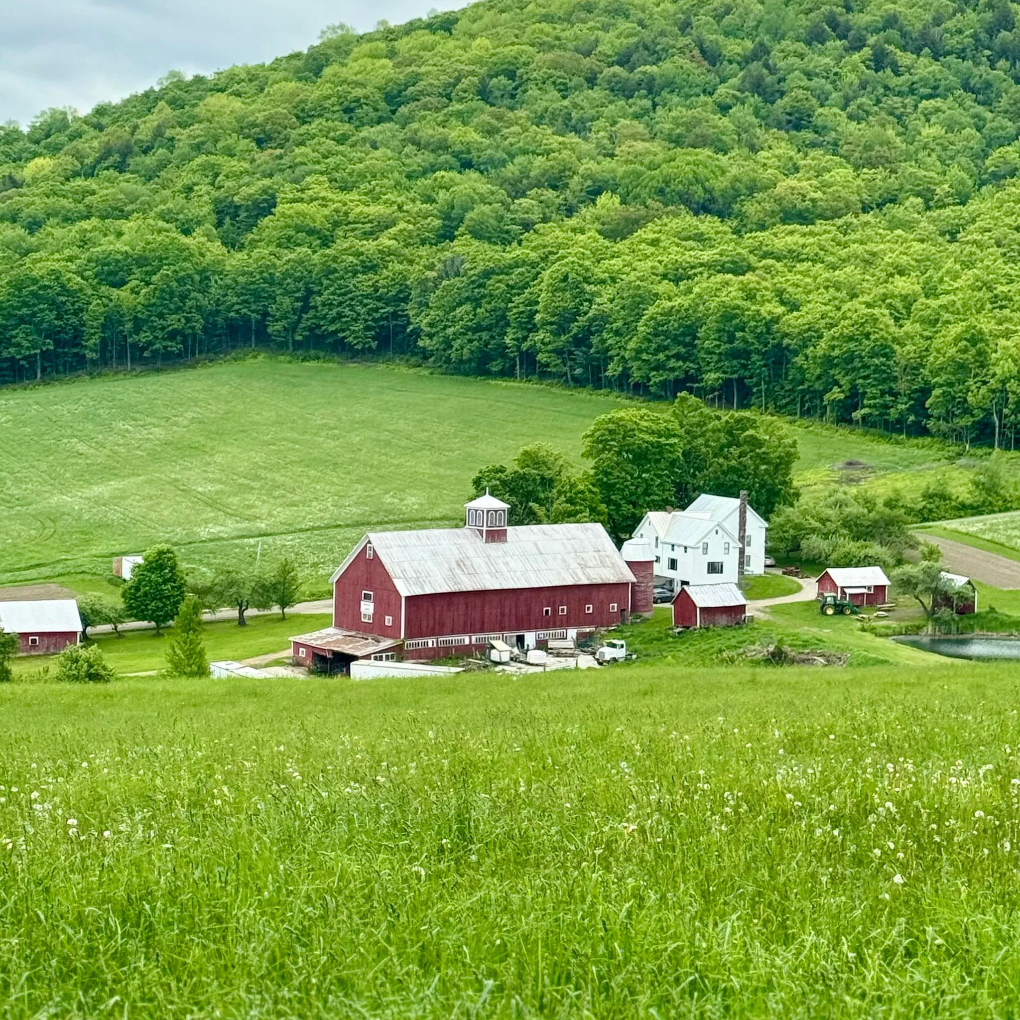 Bogie Mountain Sugar Shack