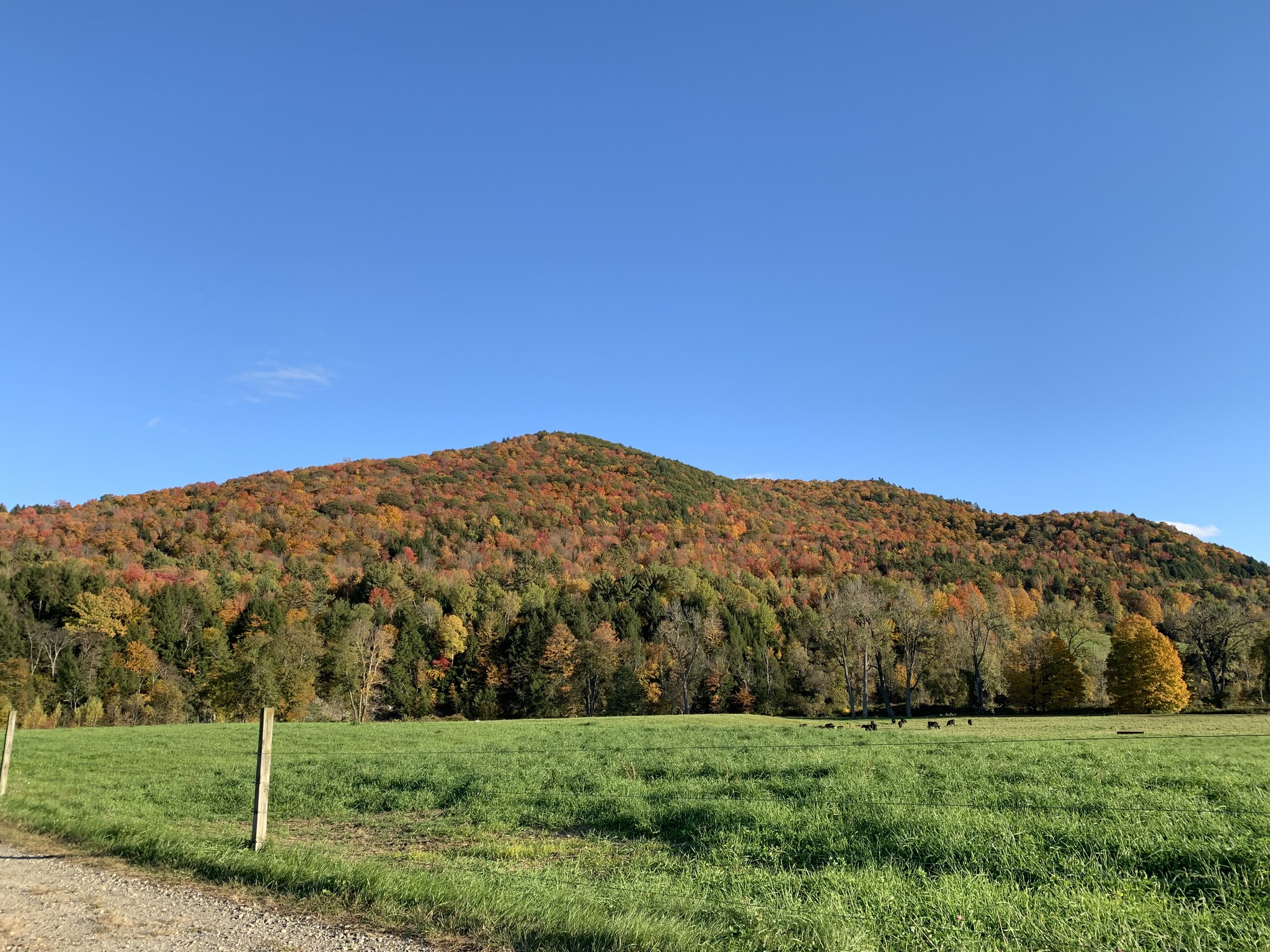 Moultroup Valley Farm