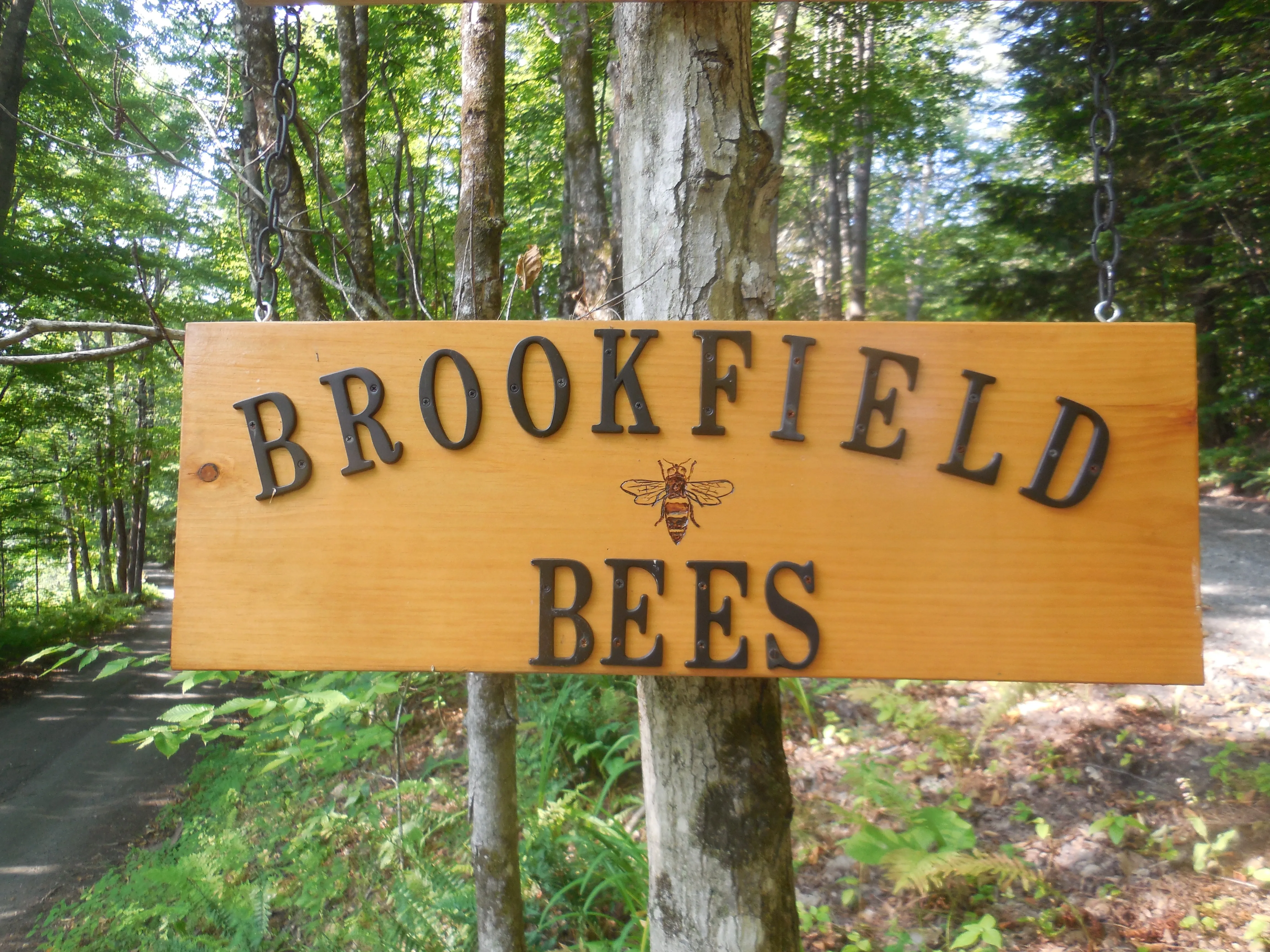 Brookfield Bees