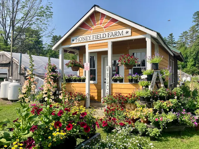 Honeyfield Farm