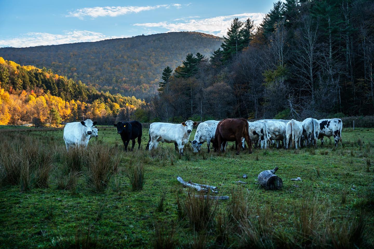 The Gateway Farm