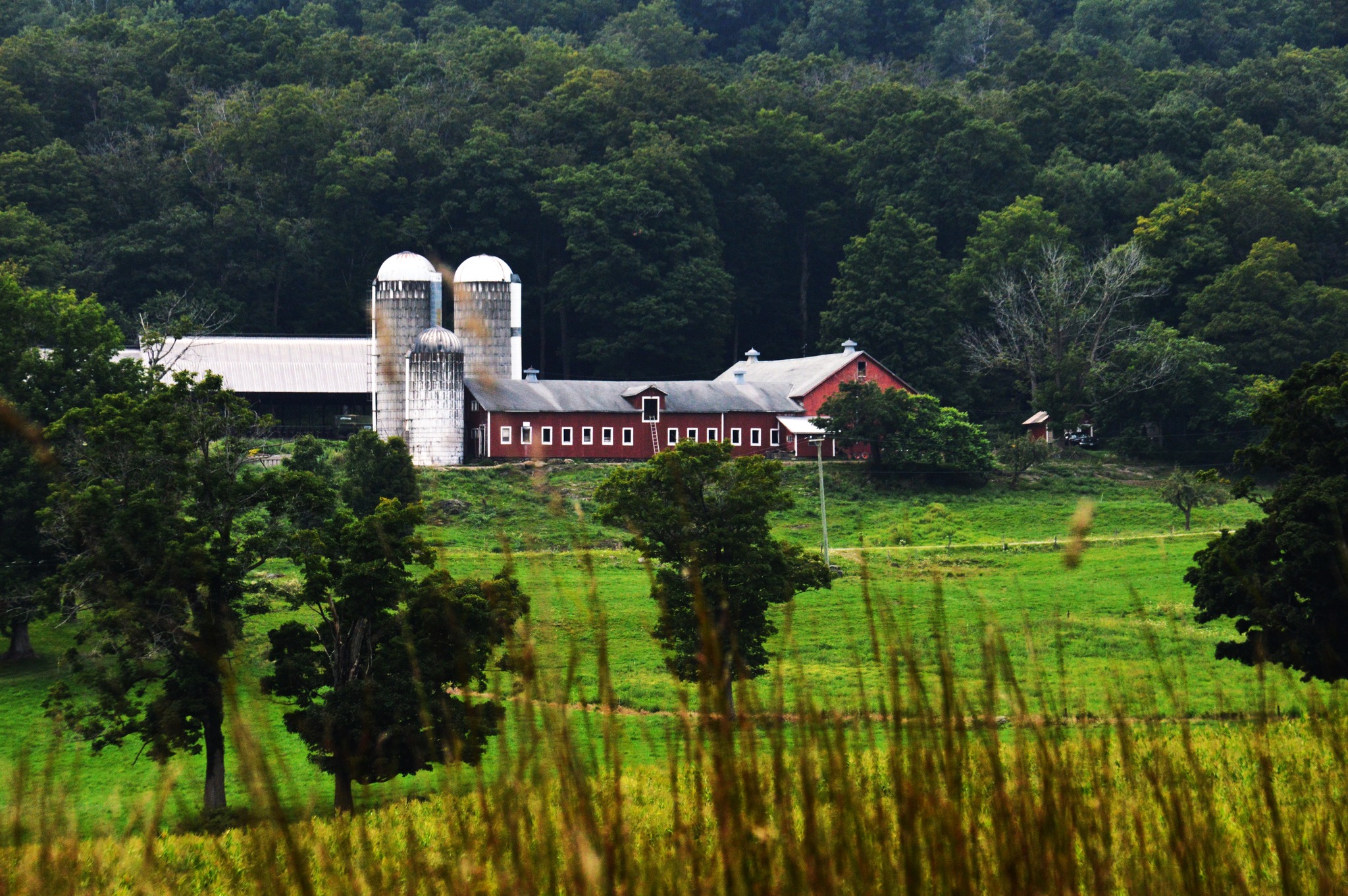 Woodslawn Farm