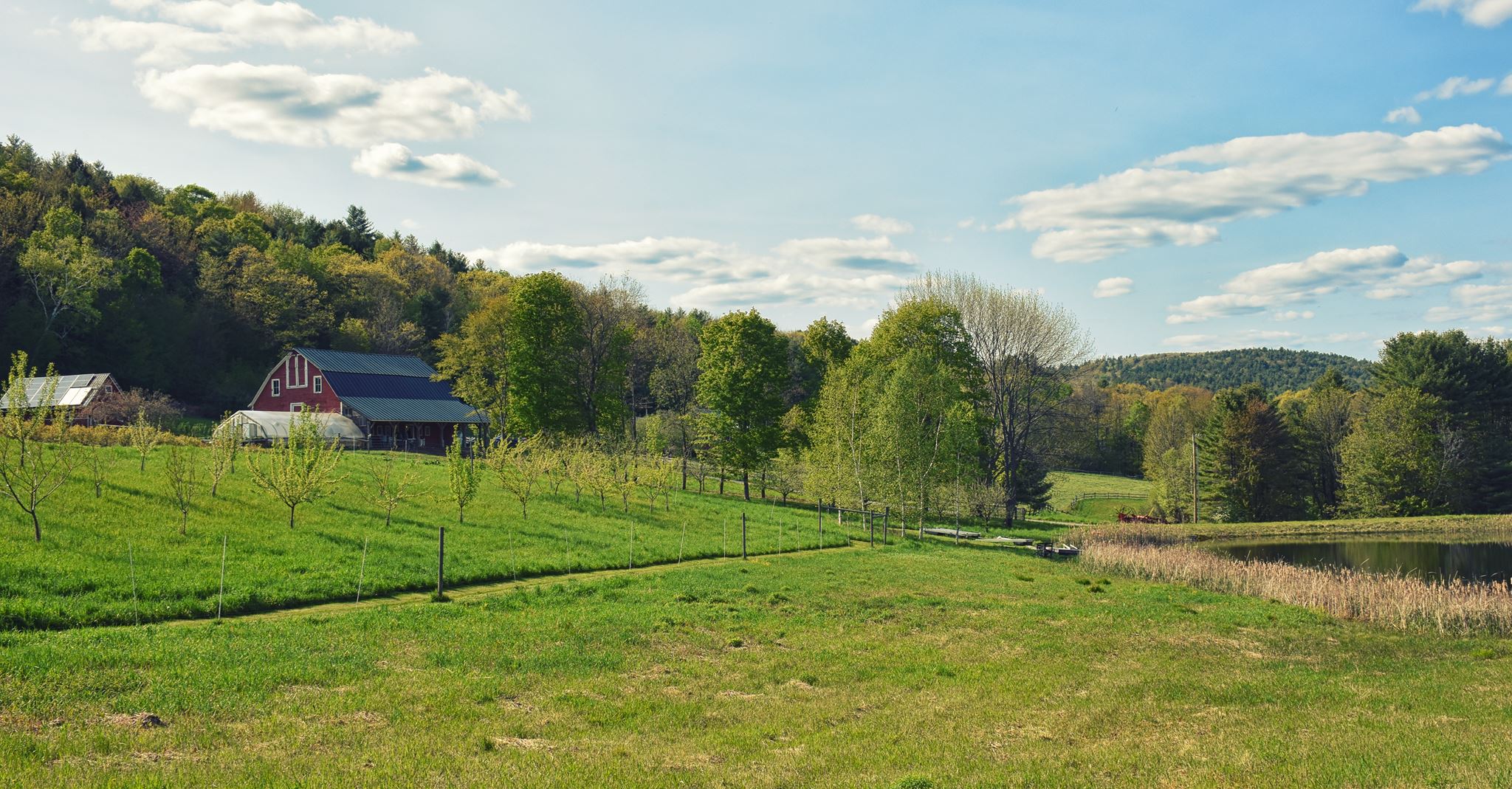 Sunrise Farm