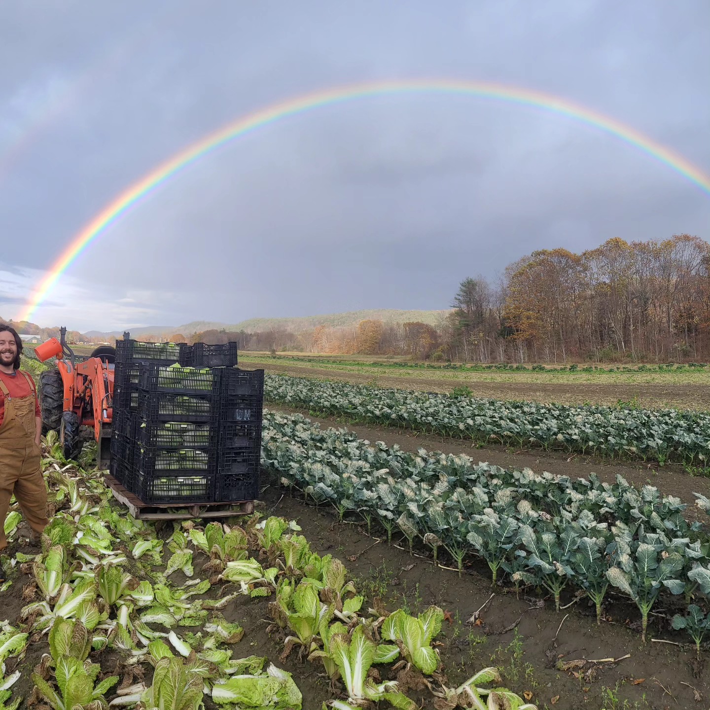 Deep Meadow Farm