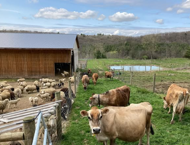 Rolling Bale Farm