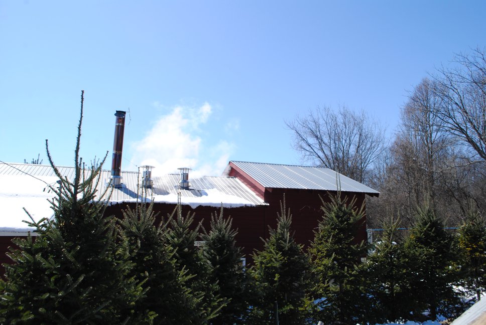 Vermont Trade Winds