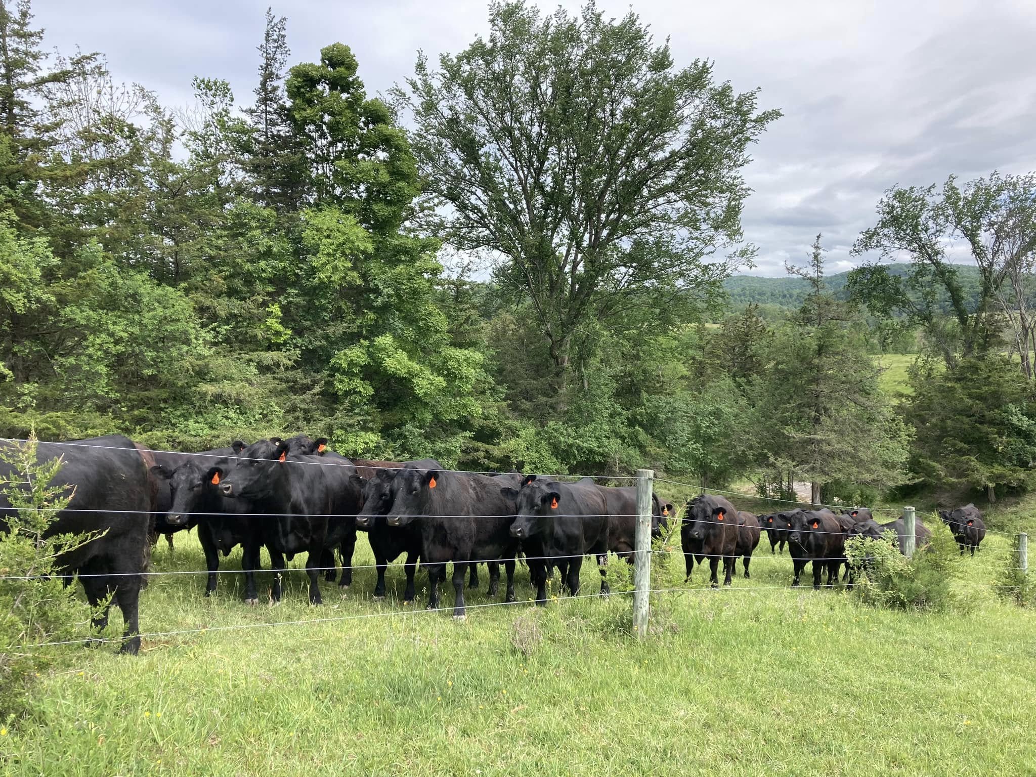 Charron Farm