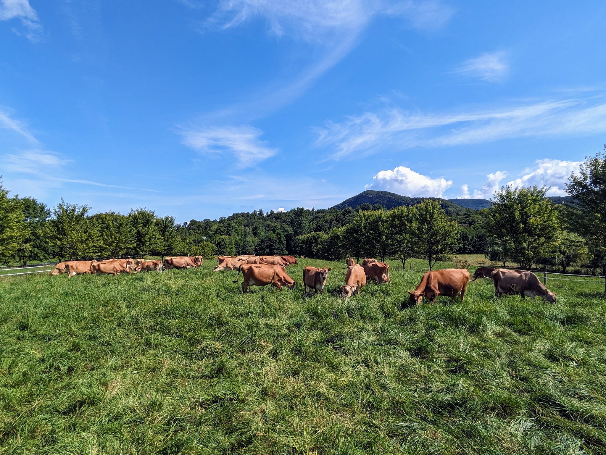 Larson Farm