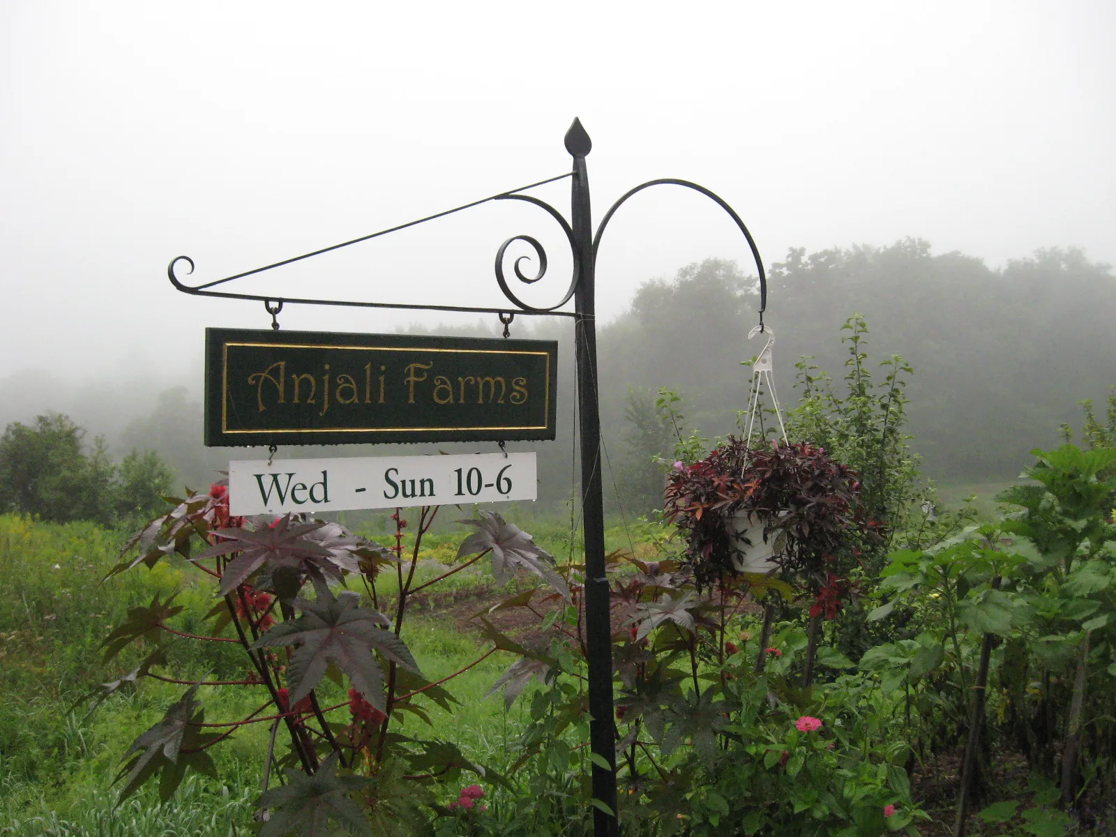 Anjali Farm