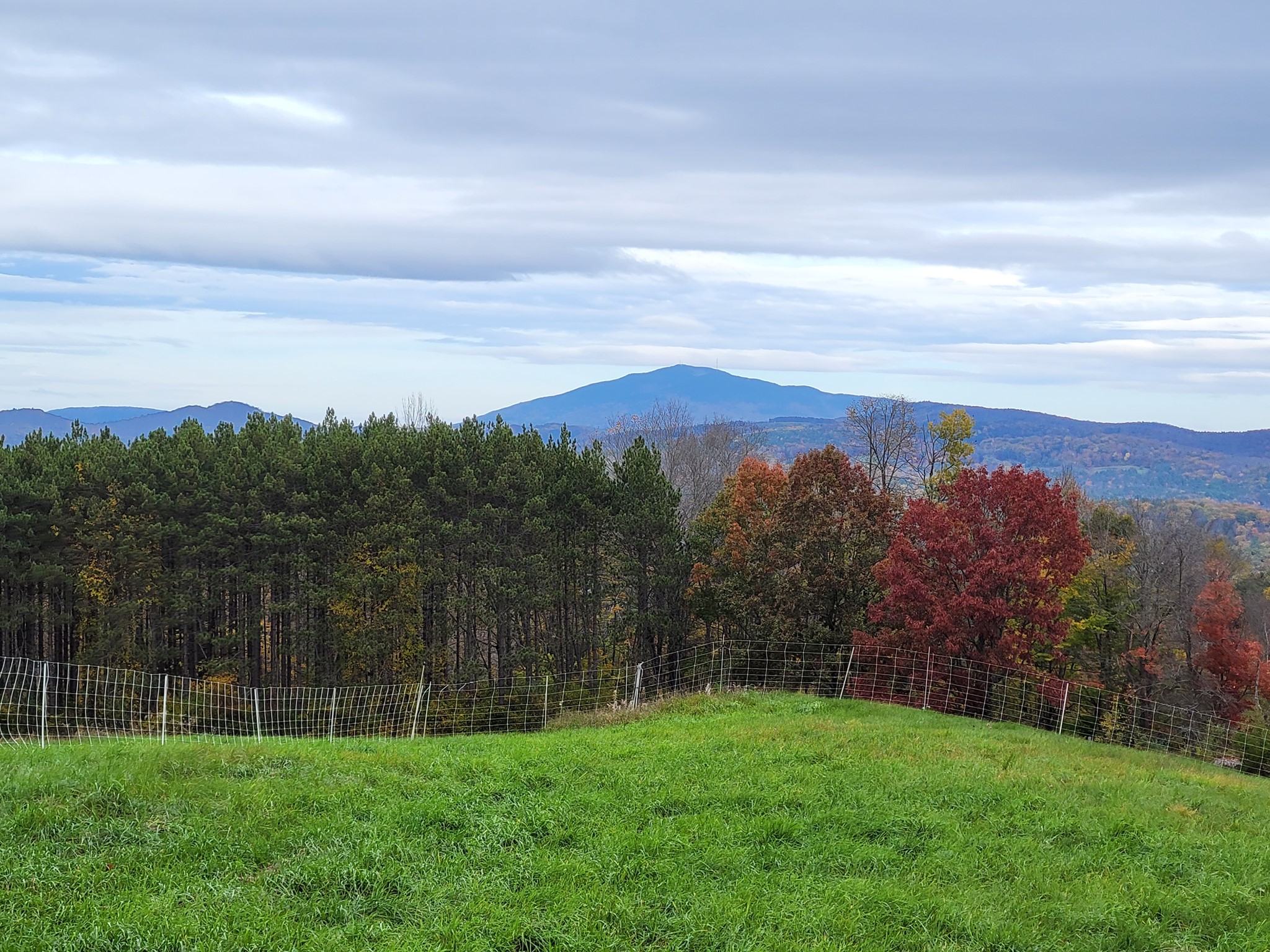 Greenheart Farm