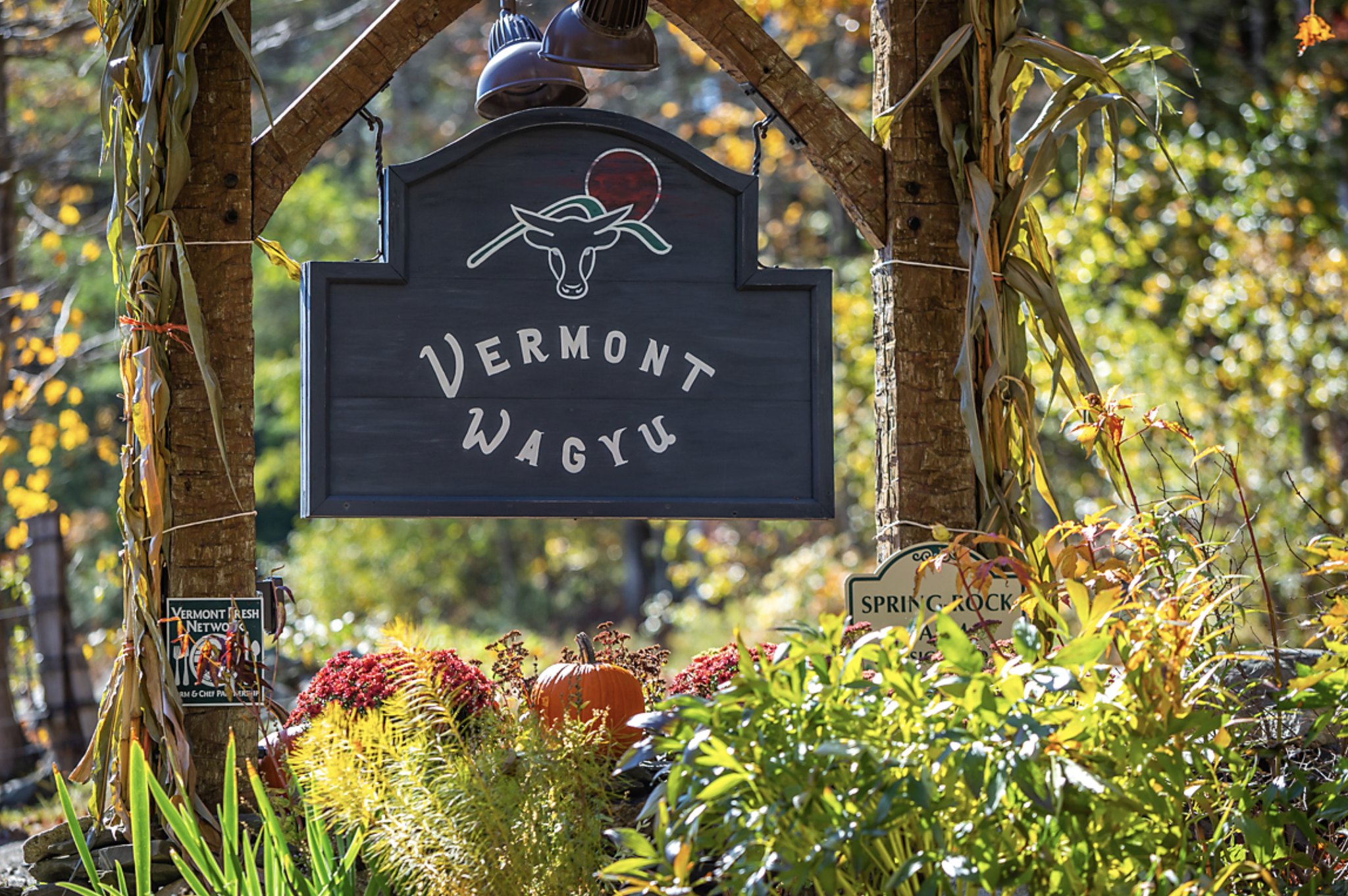 Vermont Wagyu