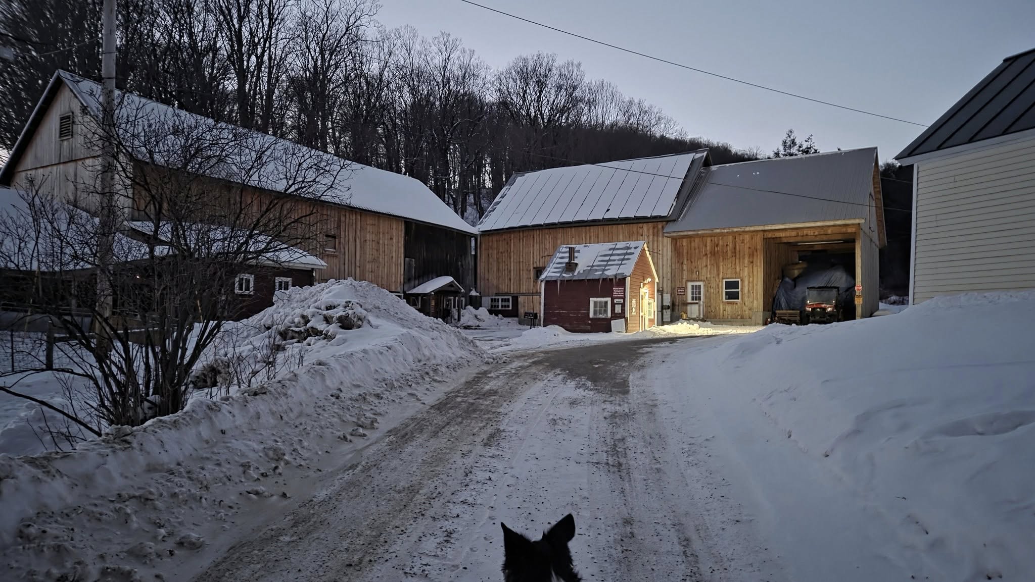 Morse Brook Farm