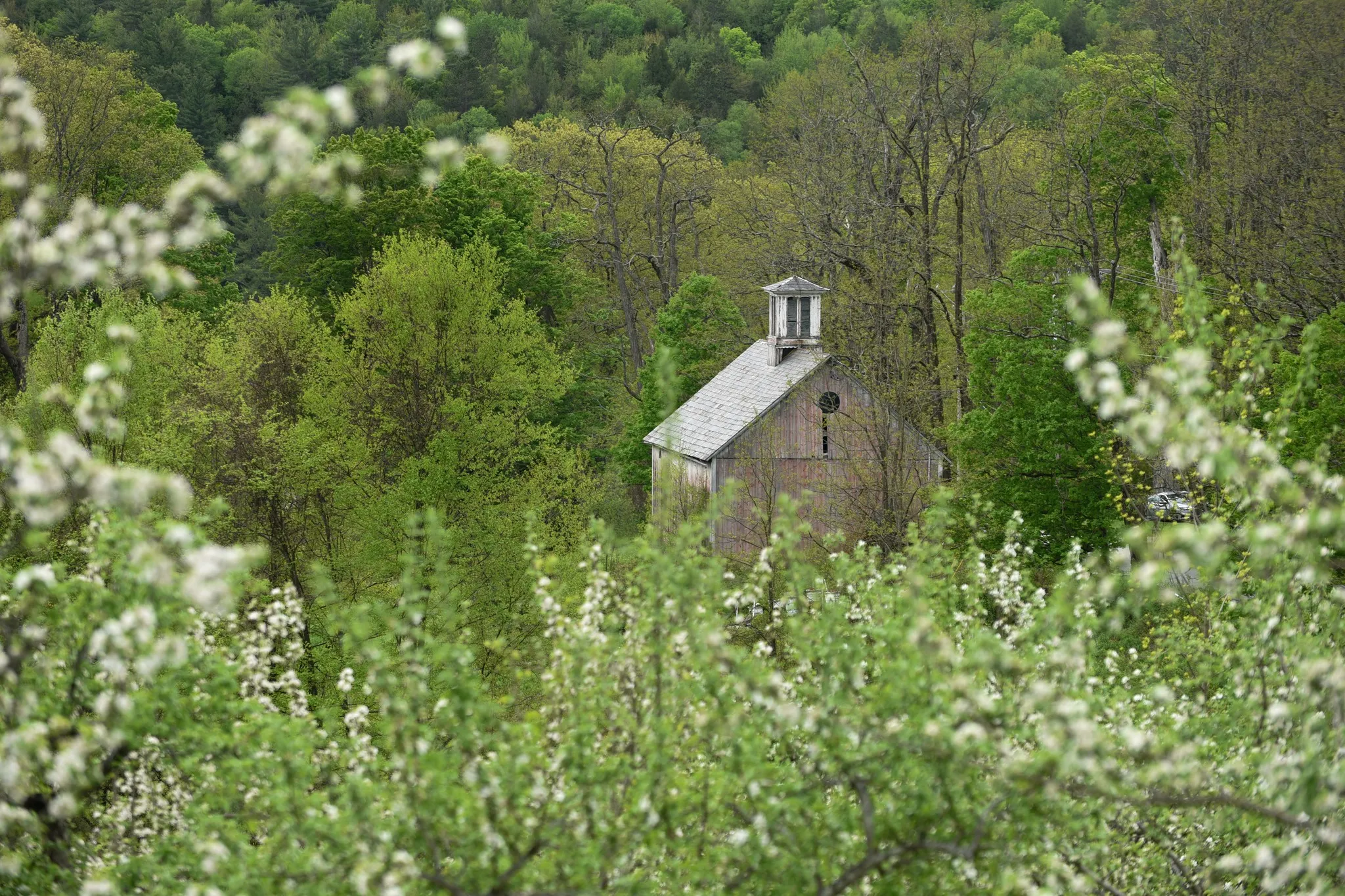 Dwight Miller Orchards