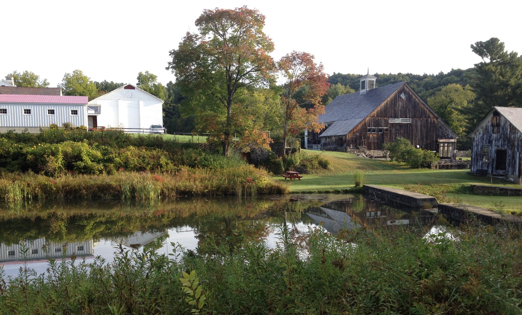 Scott Farm Orchard