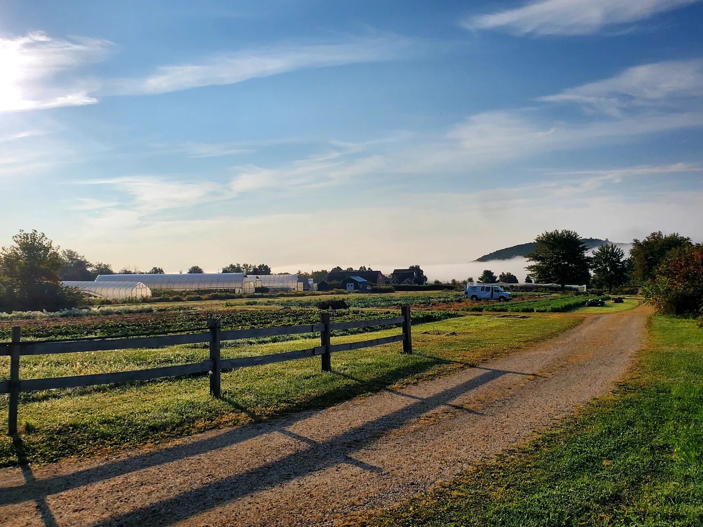 Vibrant Farm